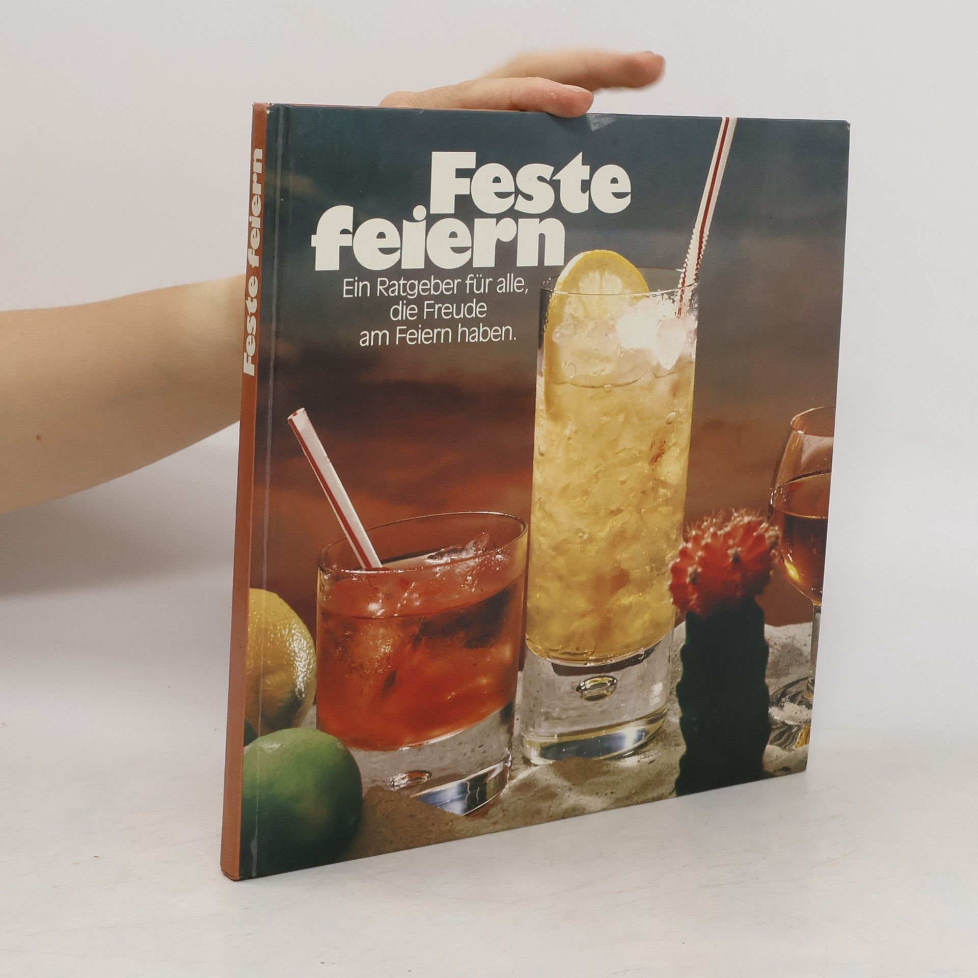 Helga Meyer-Mettegang Feste feiern