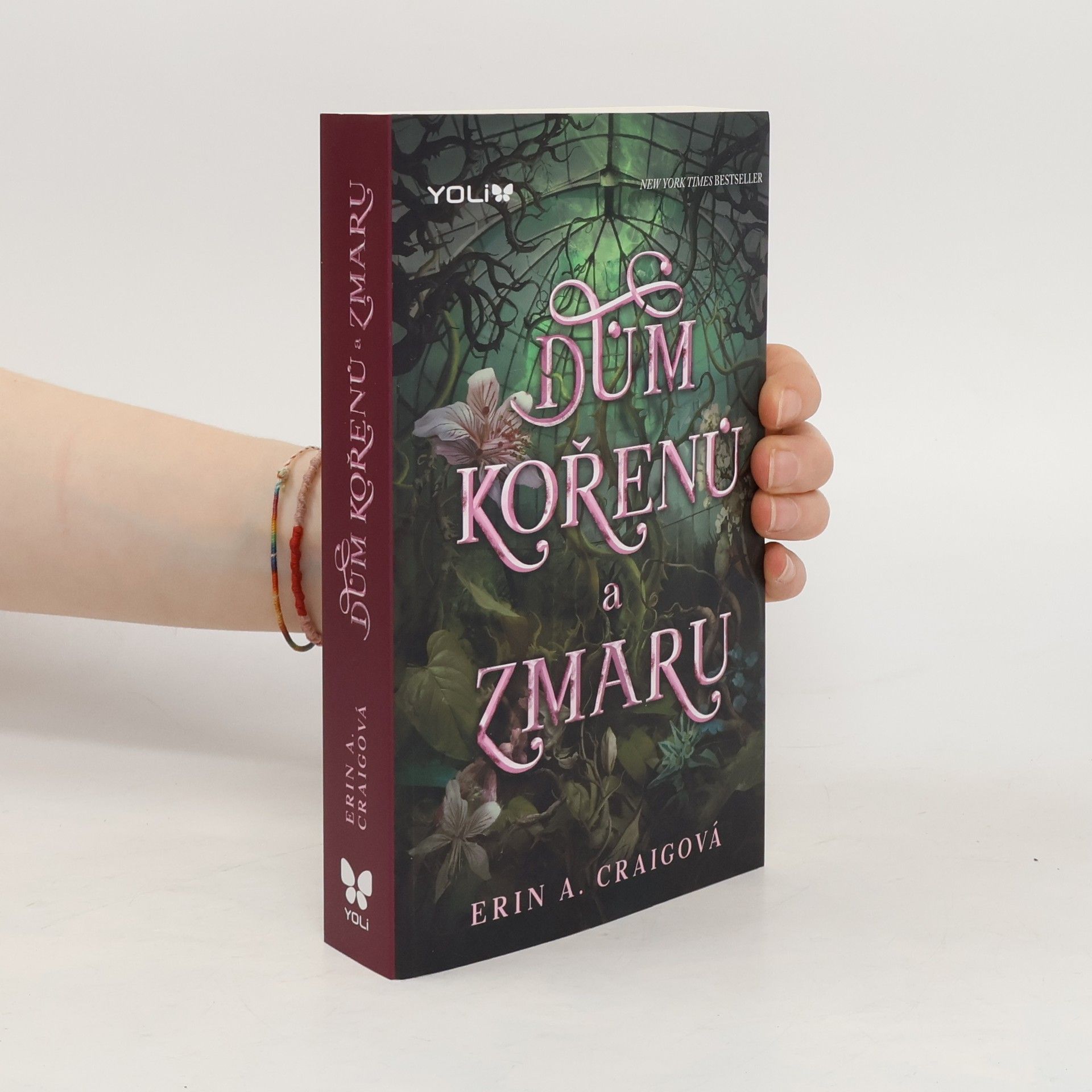 Erin A. Craig Dům kořenů a zmaru
