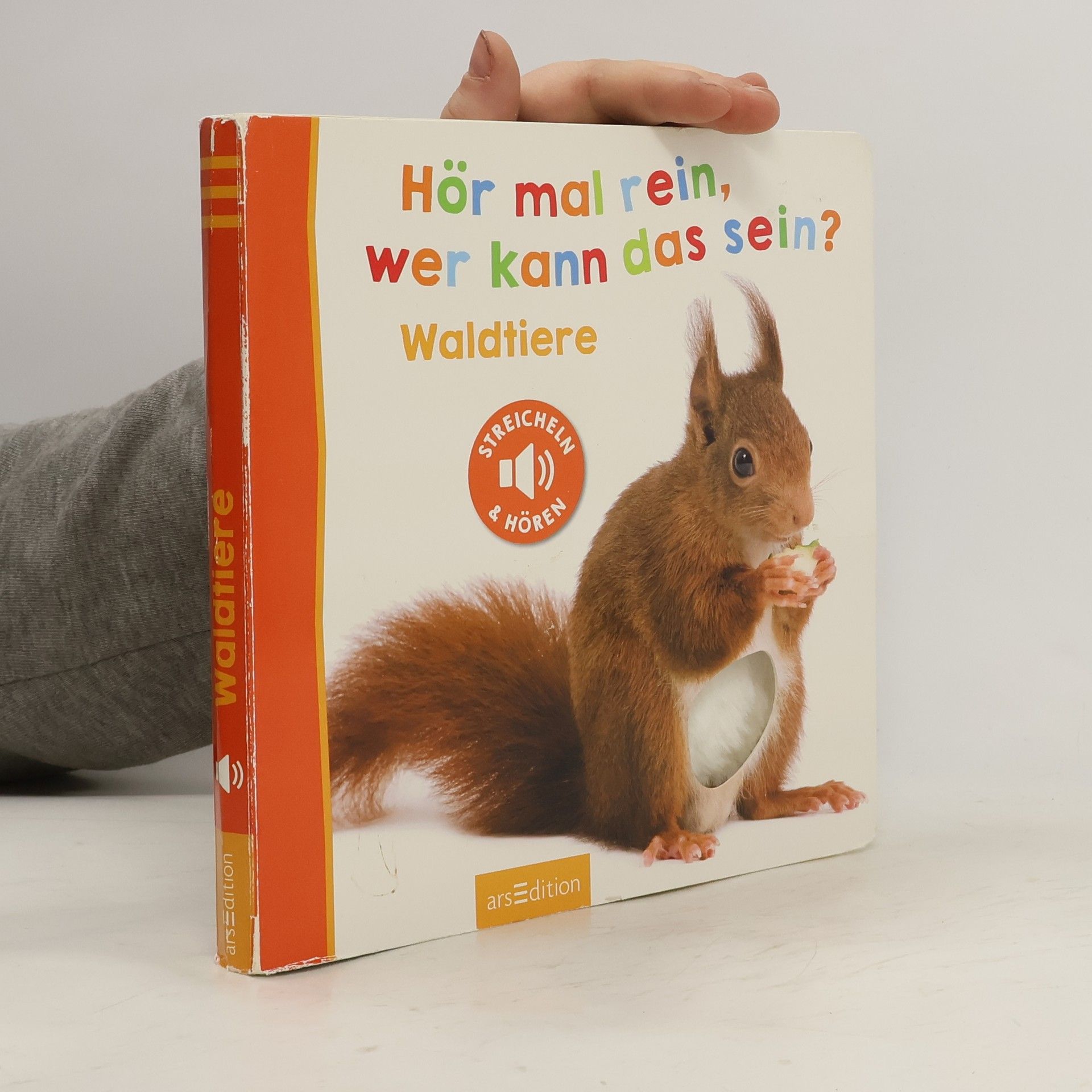 Autorenkollektiv Hör mal rein, wer kann das sein? - Waldtiere