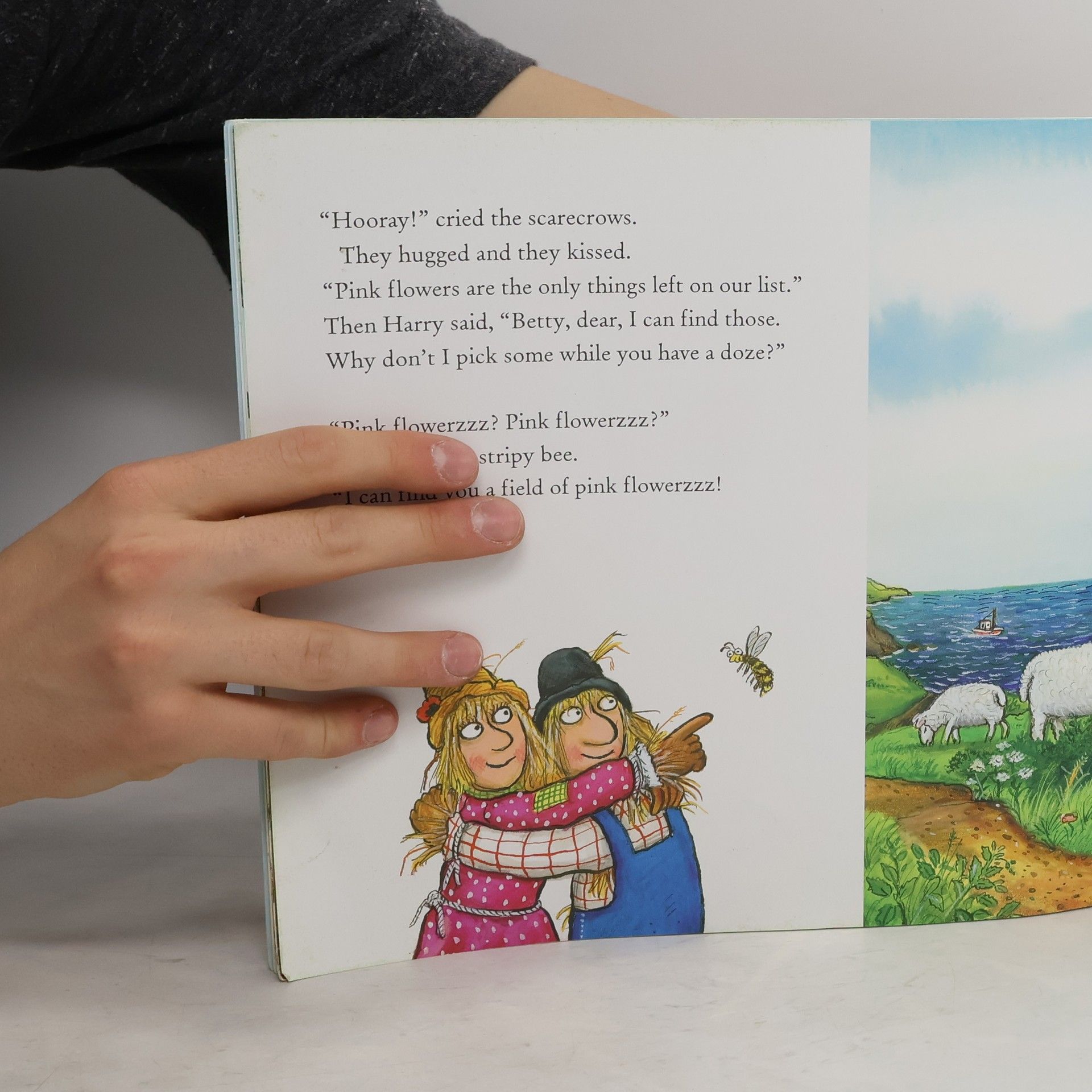 Julia Donaldson Scarecrows' Wedding