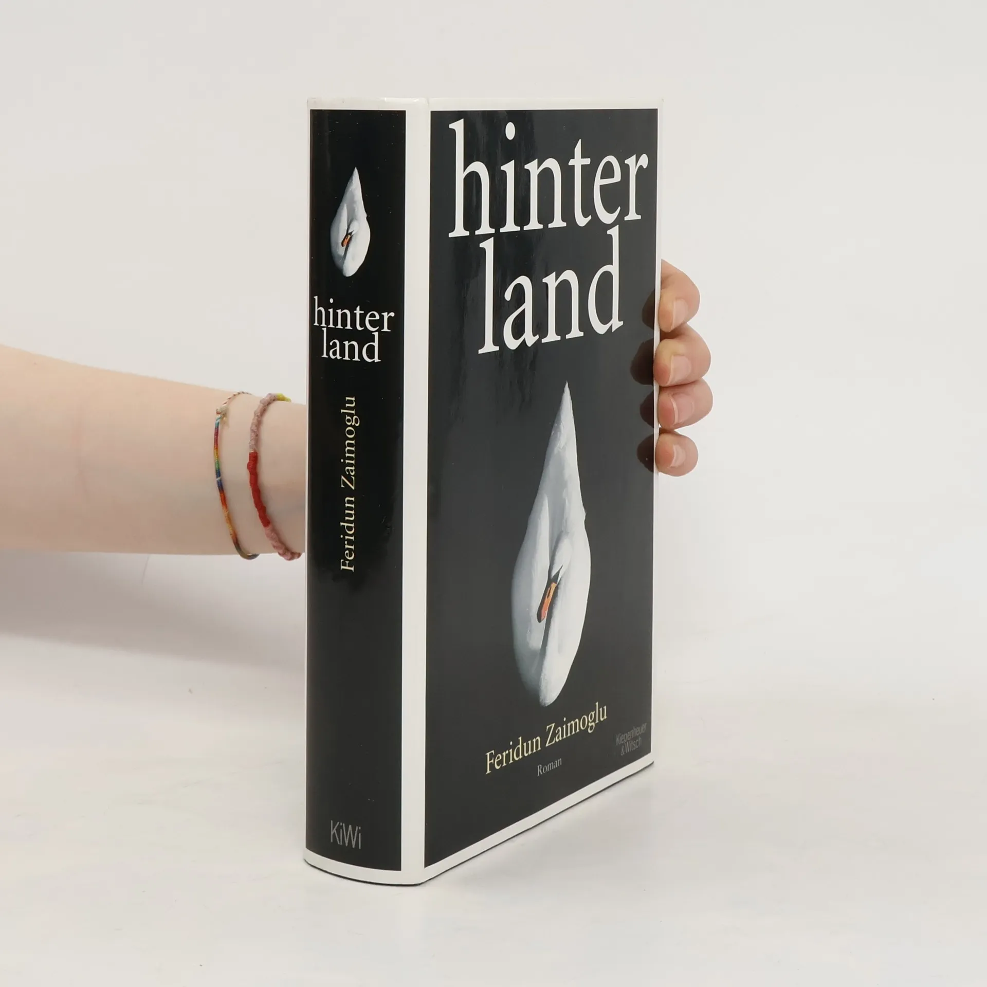 Hinterland | Buch | Feridun Zaimoglu