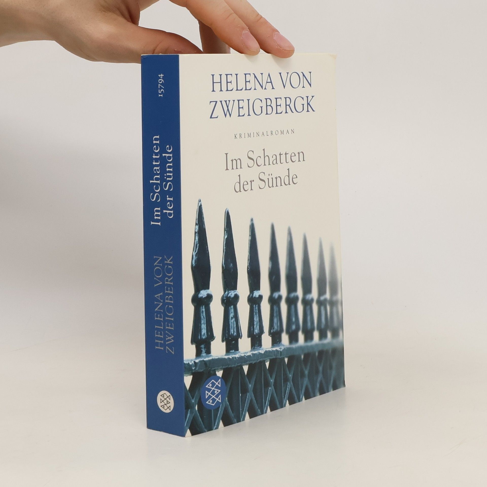 Helena von Zweigbergk Im Schatten der Sünde