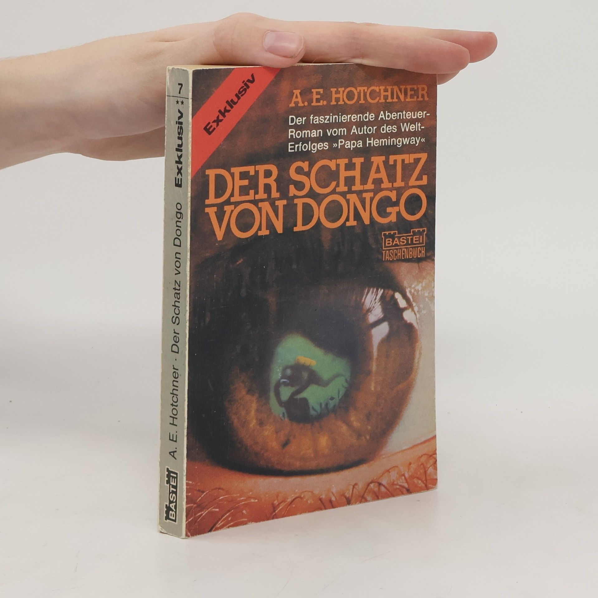 A. E. Hotchner Der Schatz von Dongo