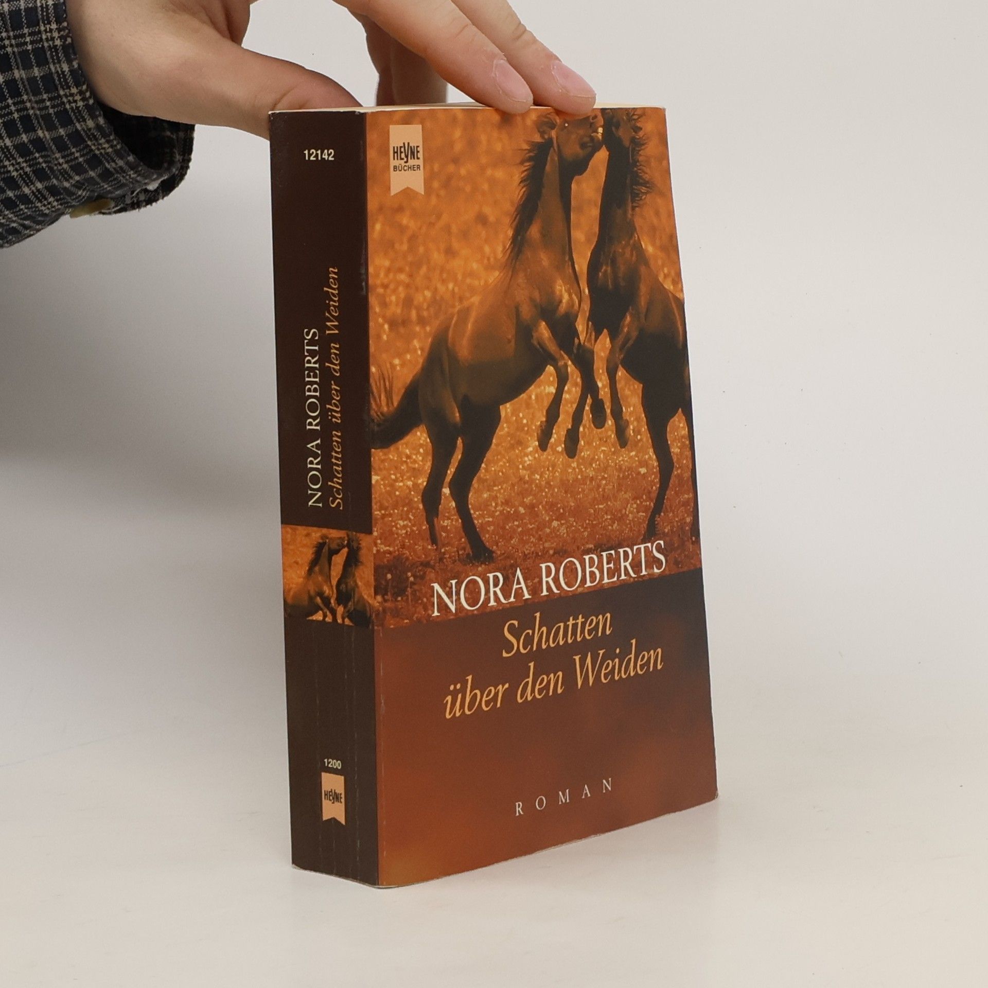 Nora Roberts Schatten über den Weiden