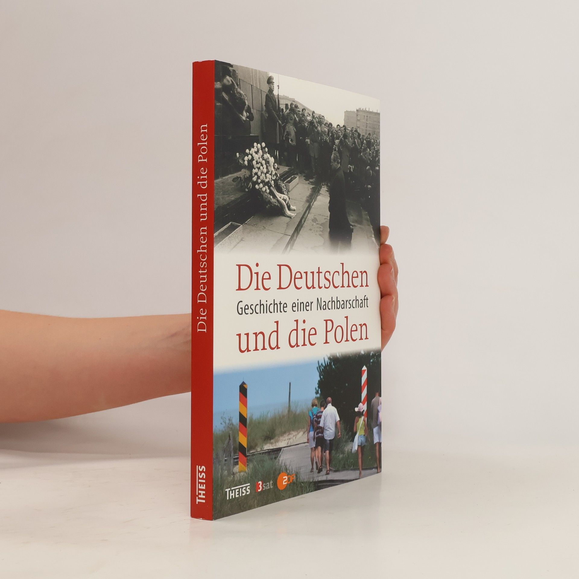 Dieter Bingen Die Deutschen und die Polen