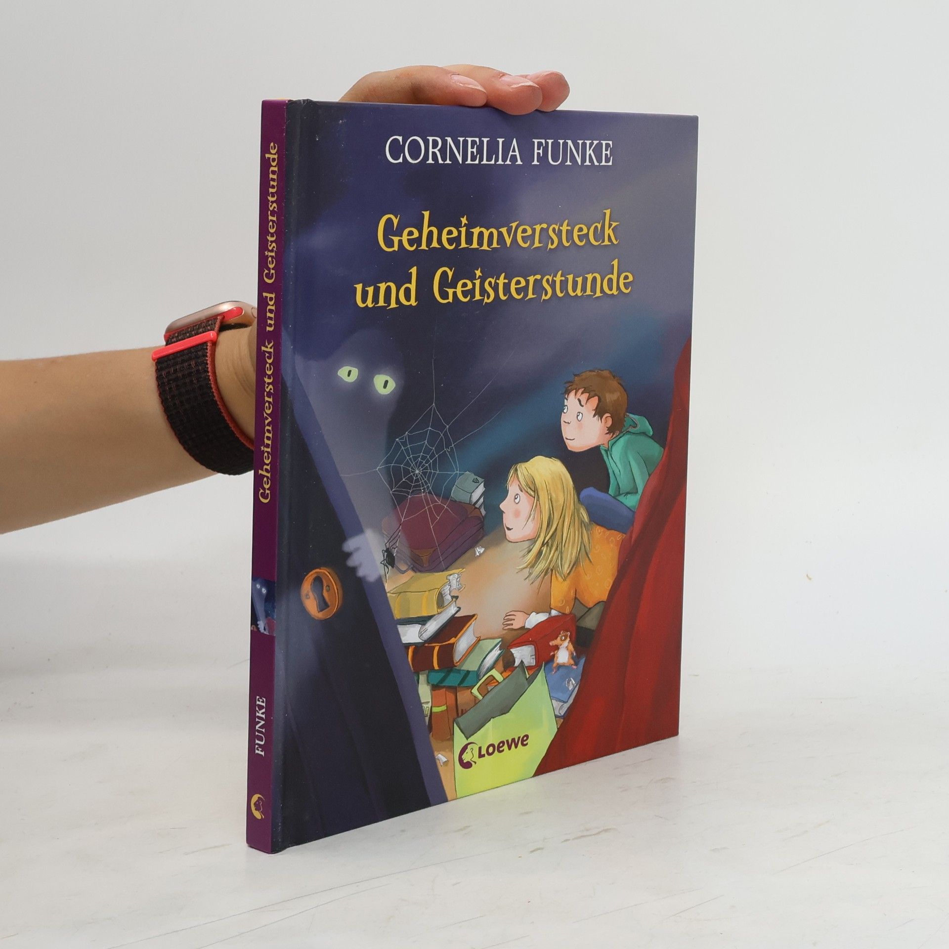 Cornelia Funke Geheimversteck und Geisterstunde