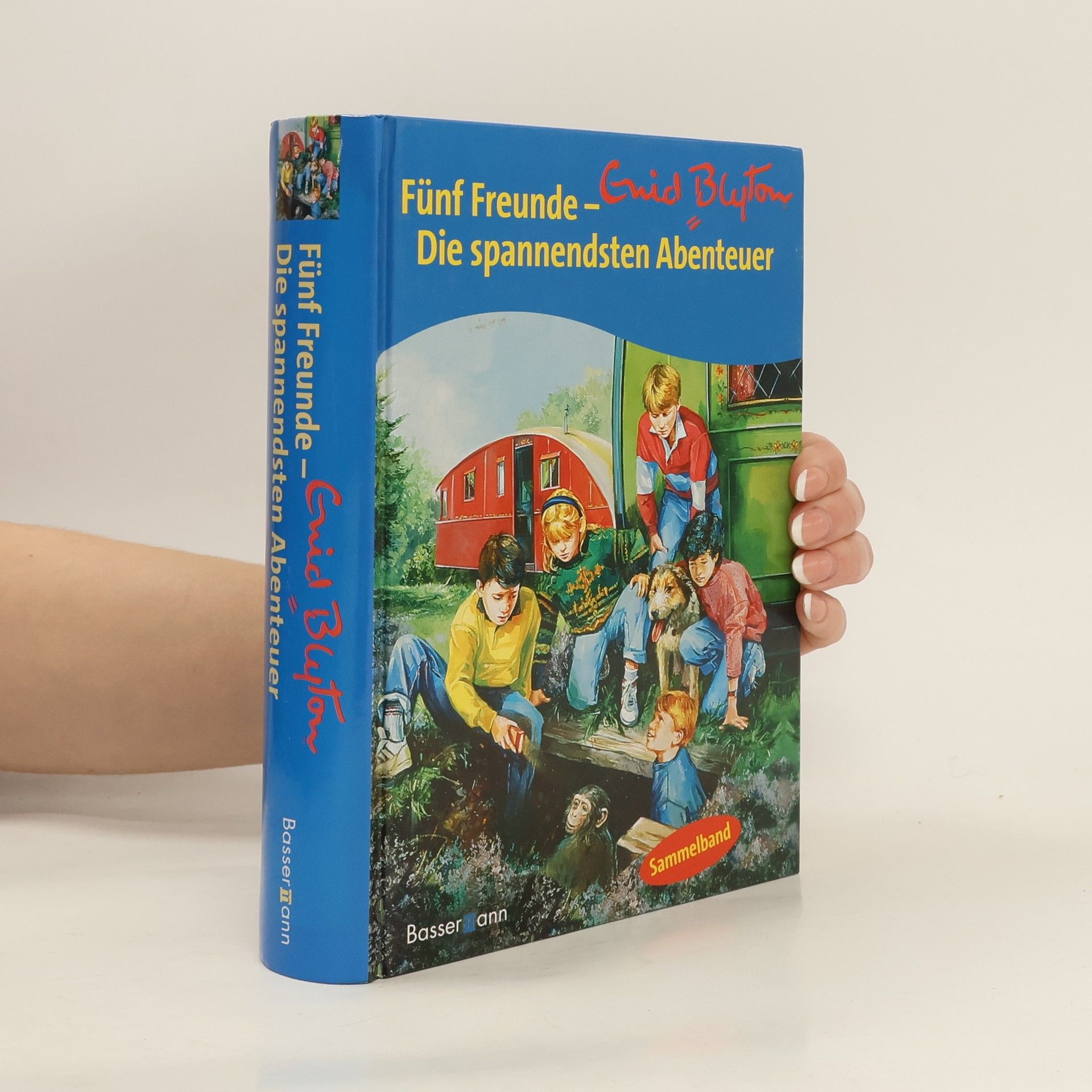 Enid Blyton Fünf Freunde - die spannendsten Abenteuer