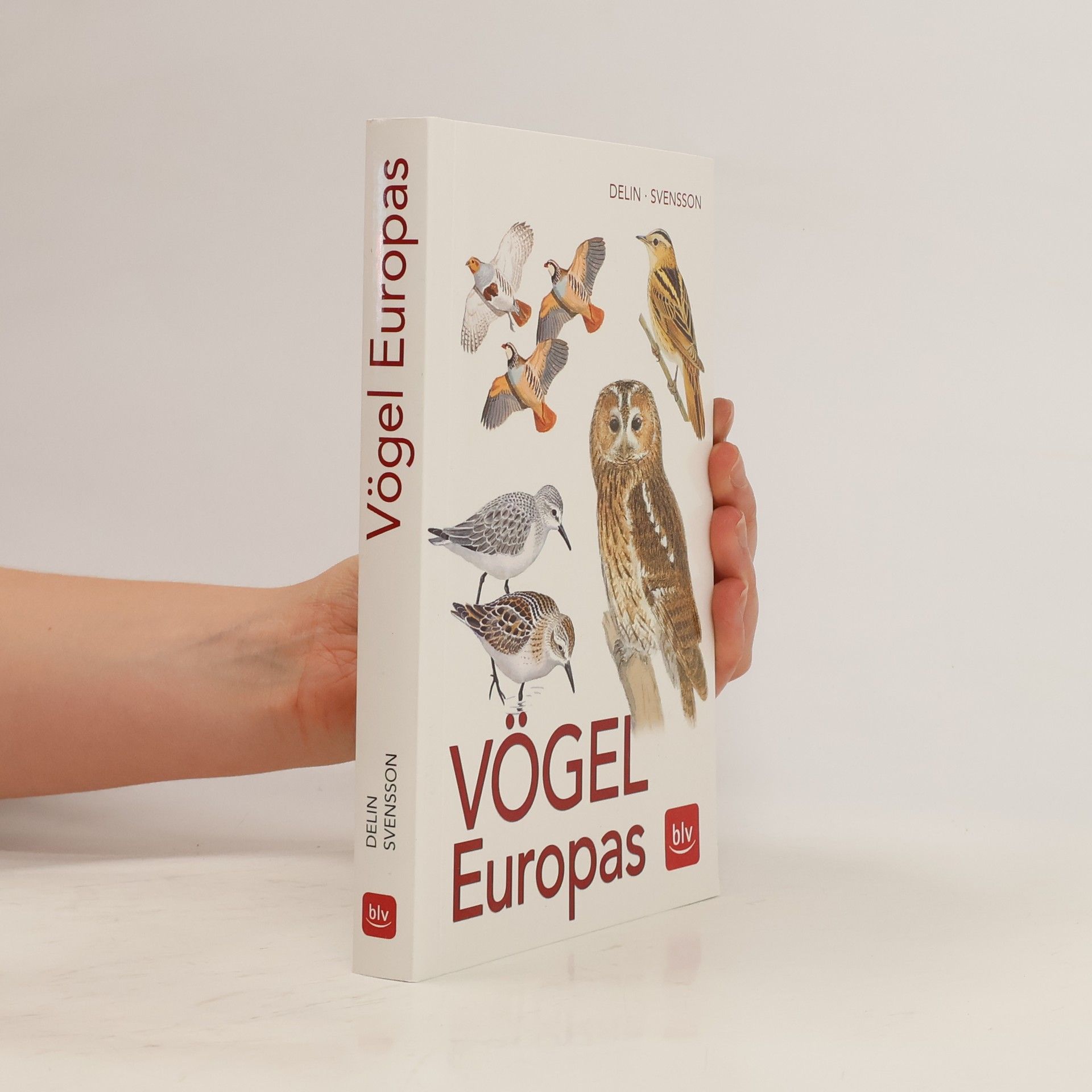 Håkan Delin Vögel Europas