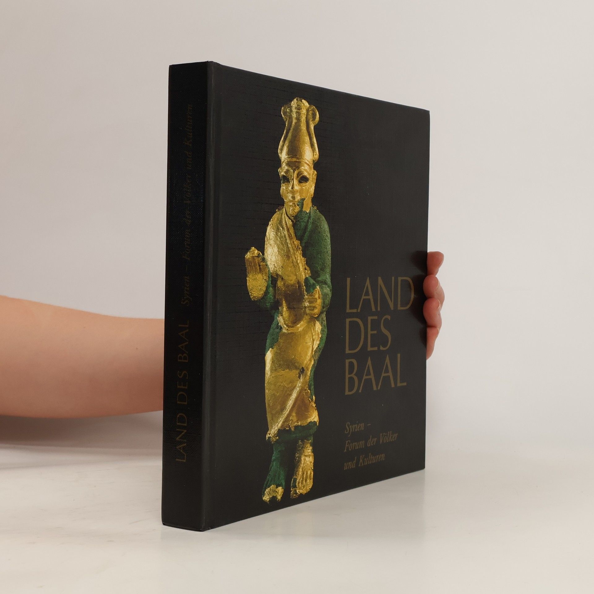 Kay Kohlmeyer Land des Baal