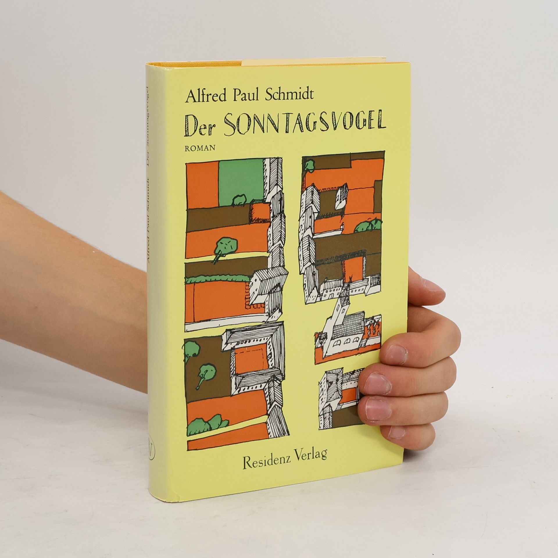 Alfred Paul Schmidt Der Sonntagsvogel