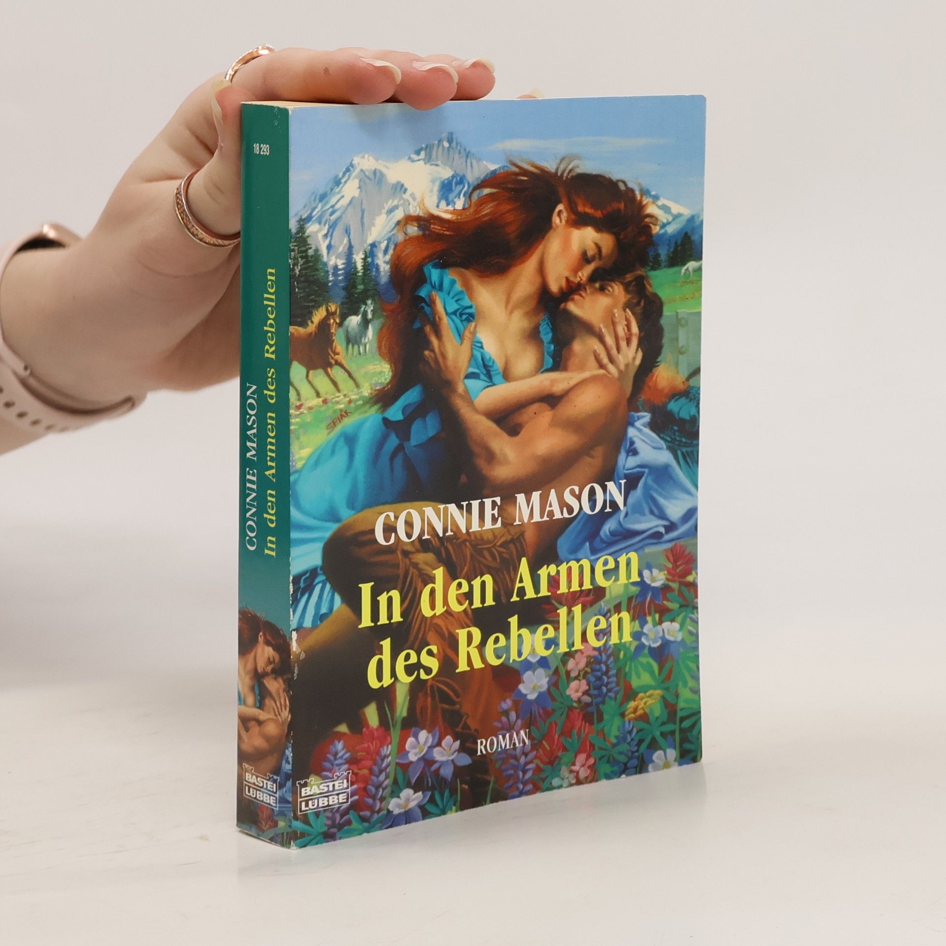 Connie Mason In den Armen des Rebellen