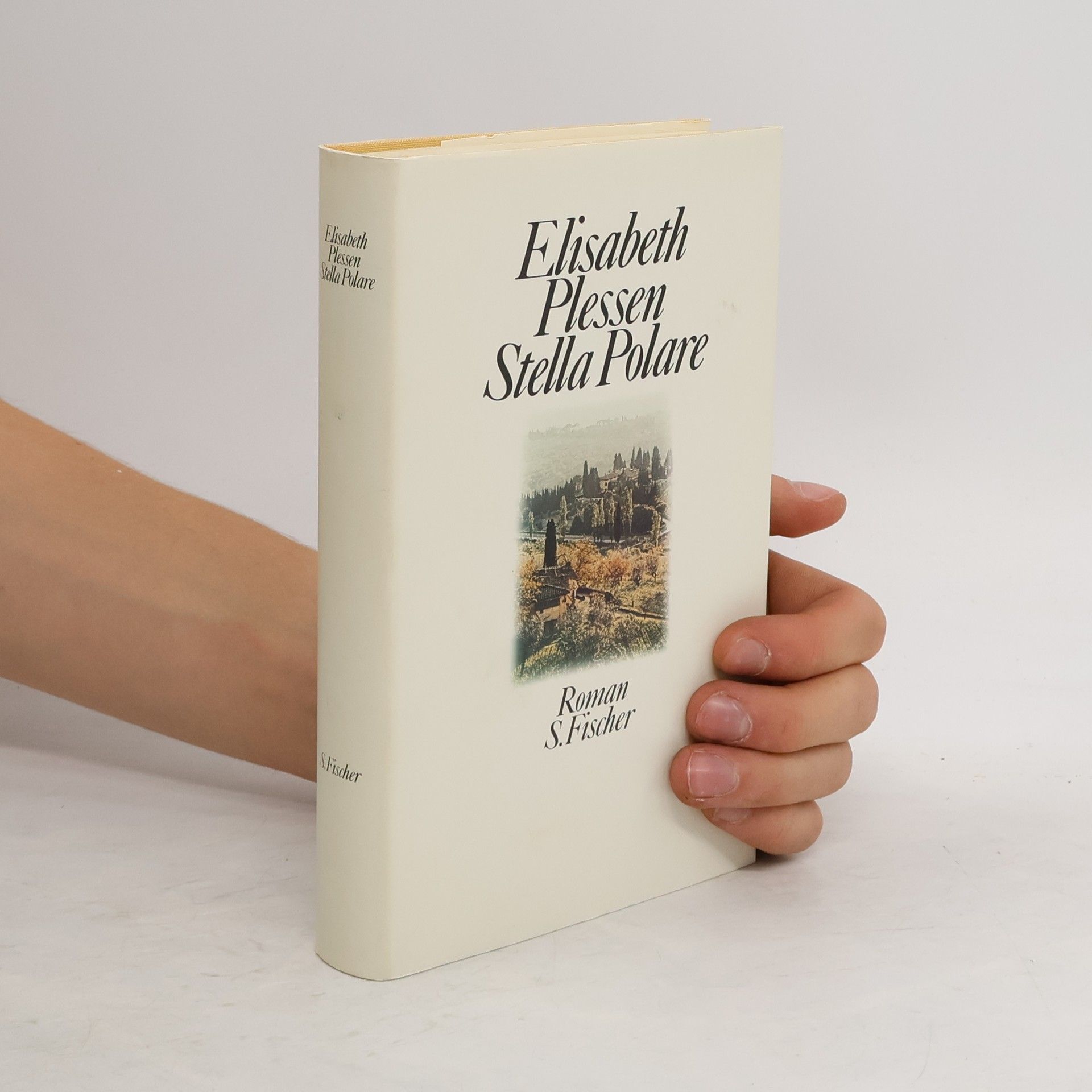 Elisabeth Plessen Stella polare