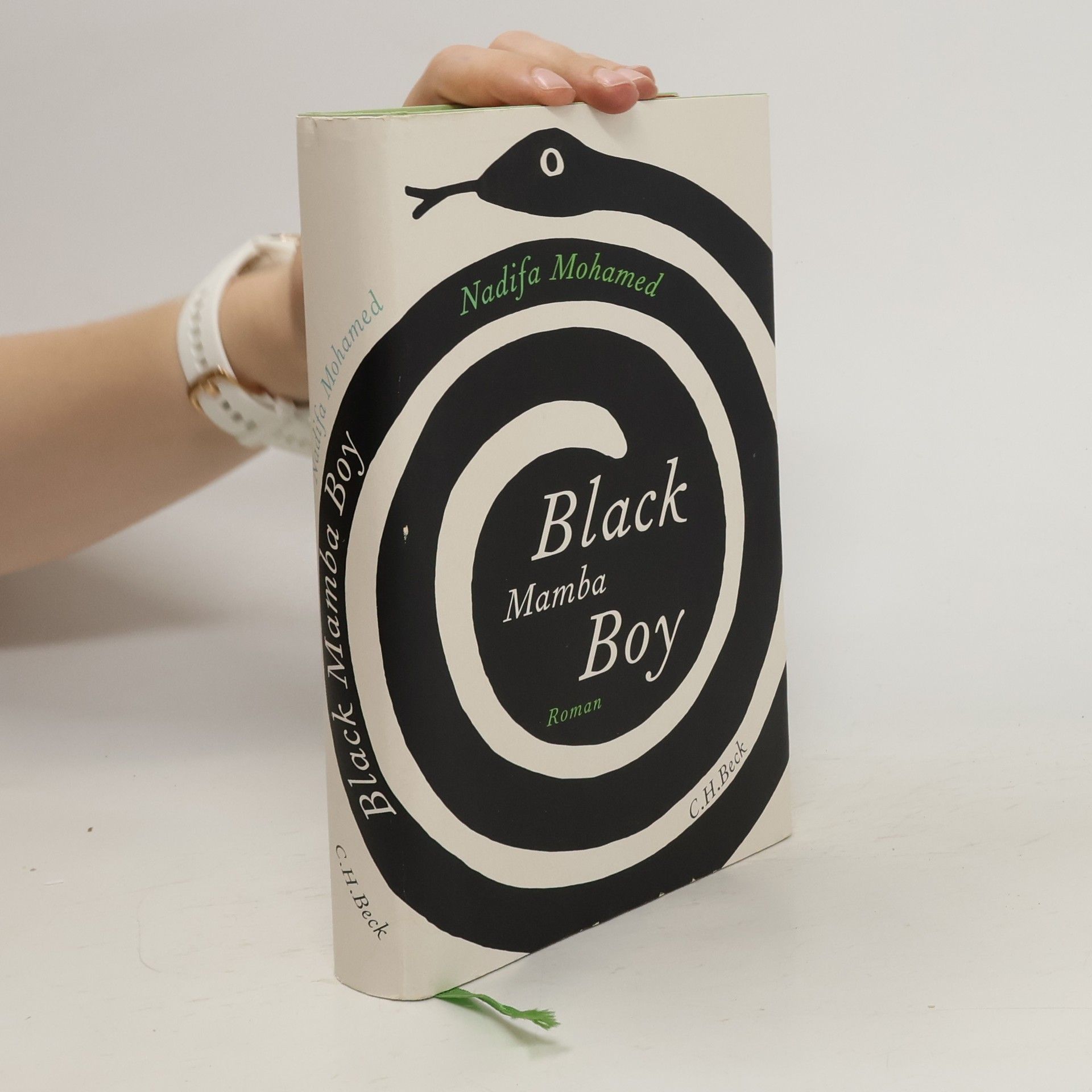 Nadifa Mohamed Black mamba boy
