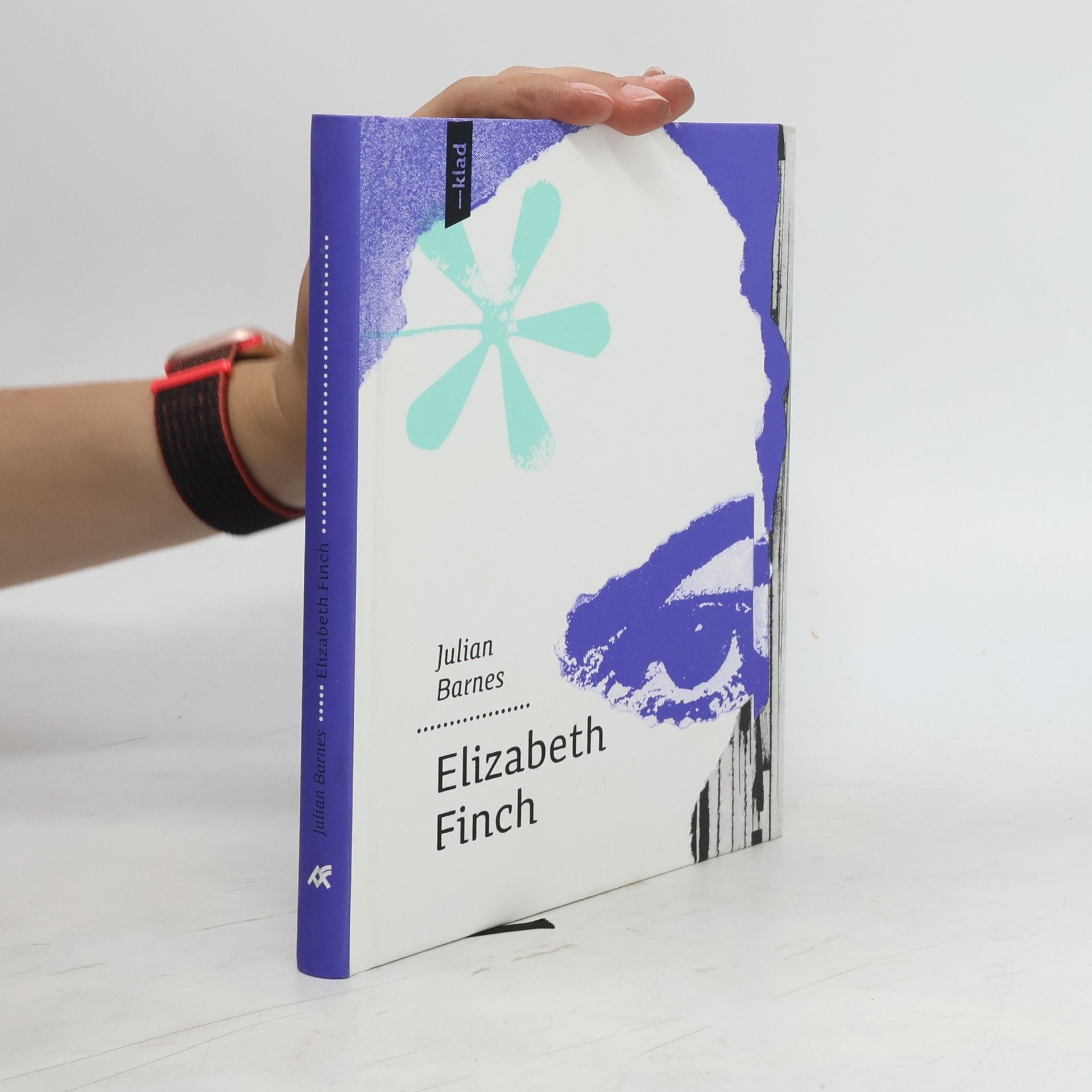 Julian Barnes Elizabeth Finch