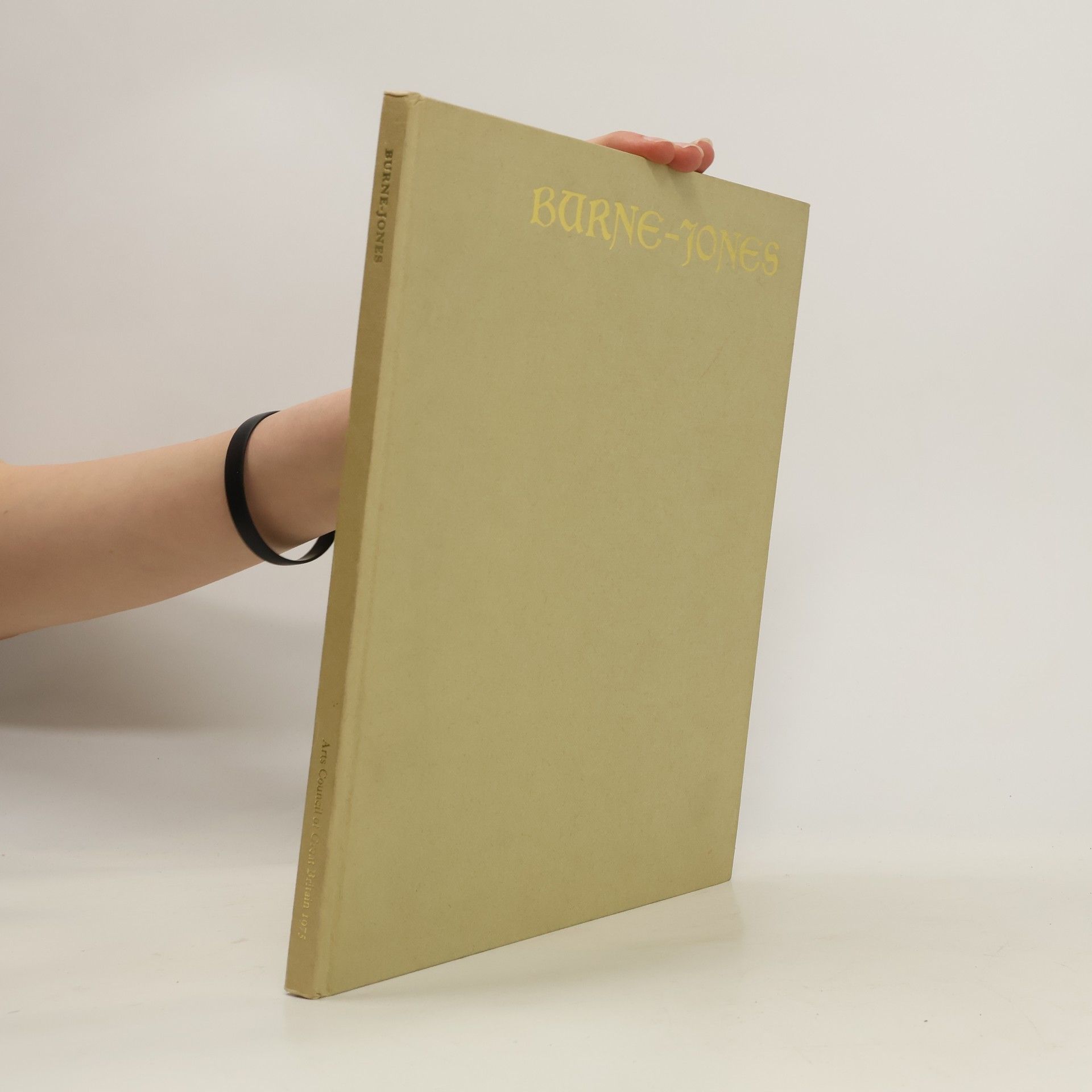 Various authors Burne-Jones