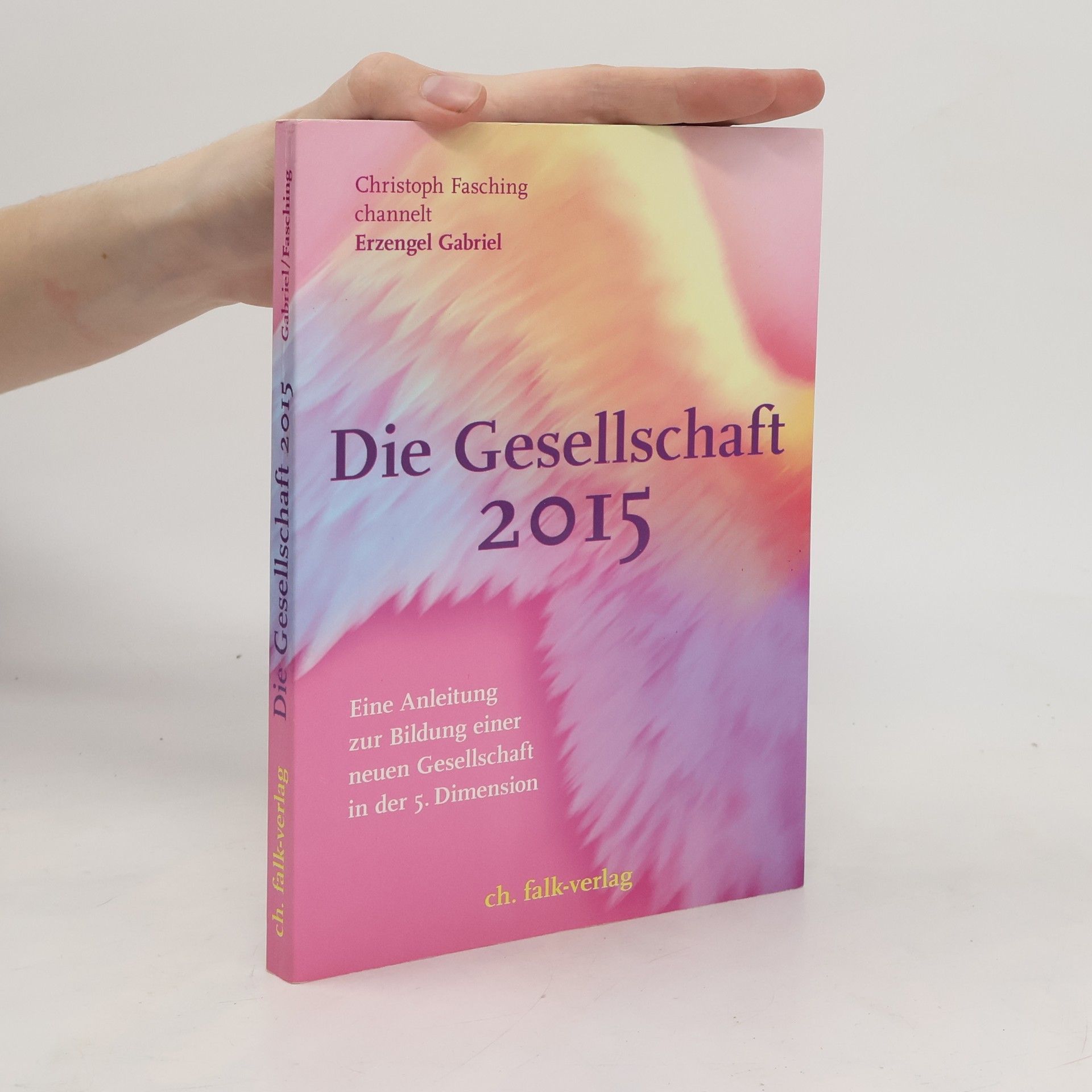 Christoph Fasching Die Gesellschaft 2015