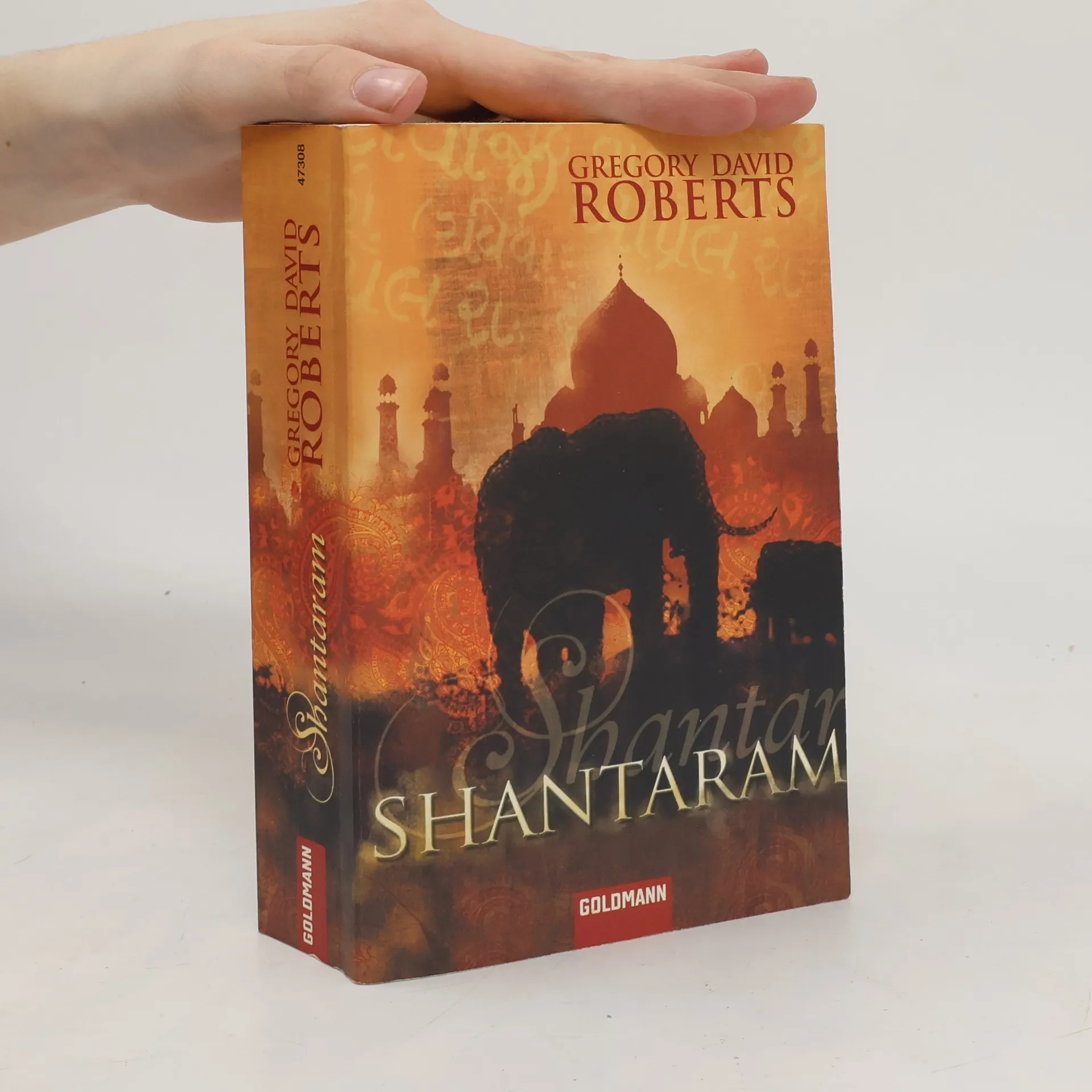 Shantaram | Book | Gregory David Roberts | DE