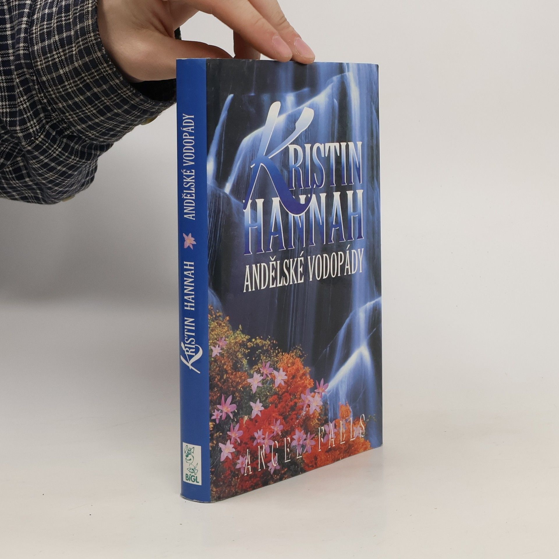 Kristin Hannah Andělské vodopády