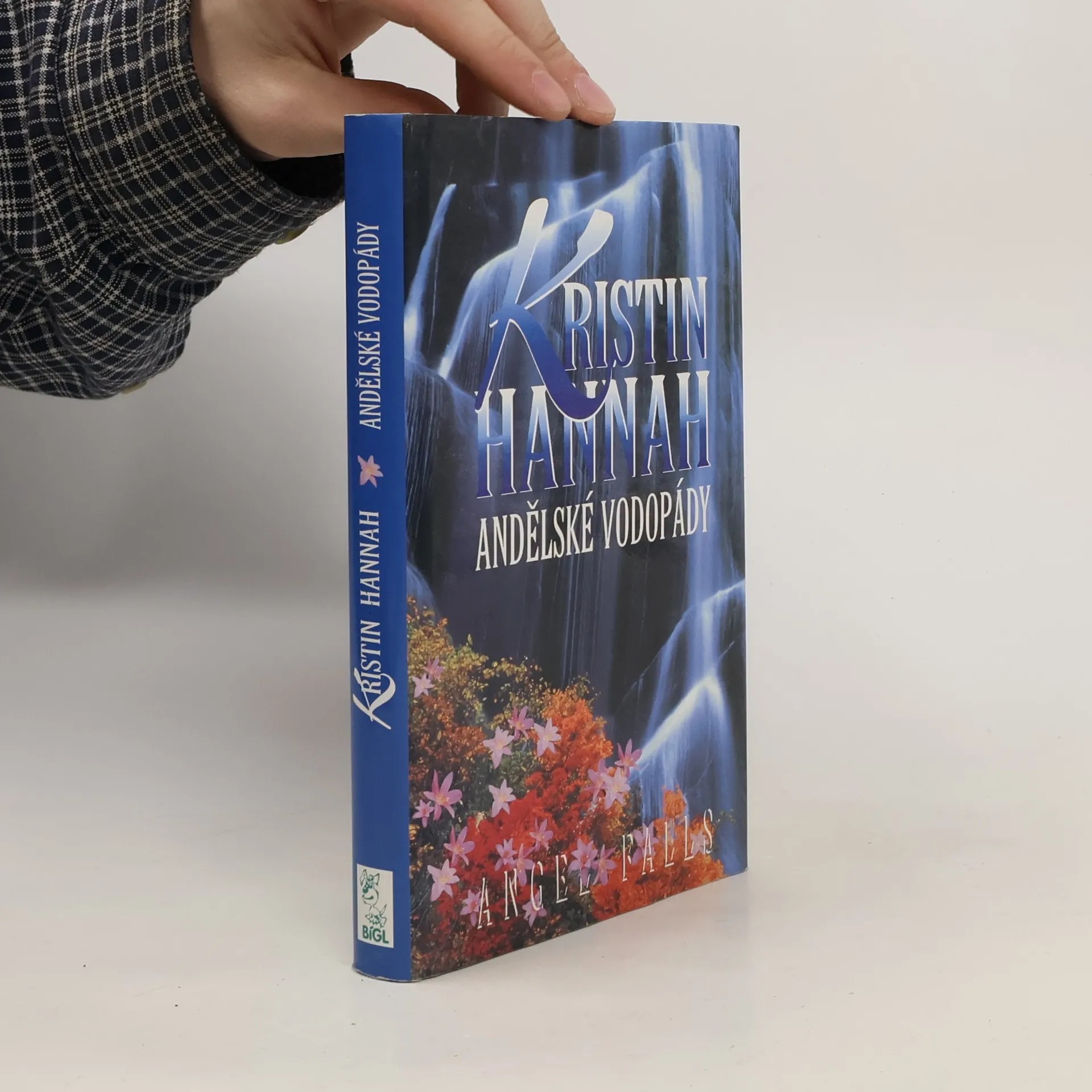 Andělské vodopády | Book | Hardcover | Kristin Hannah | CS