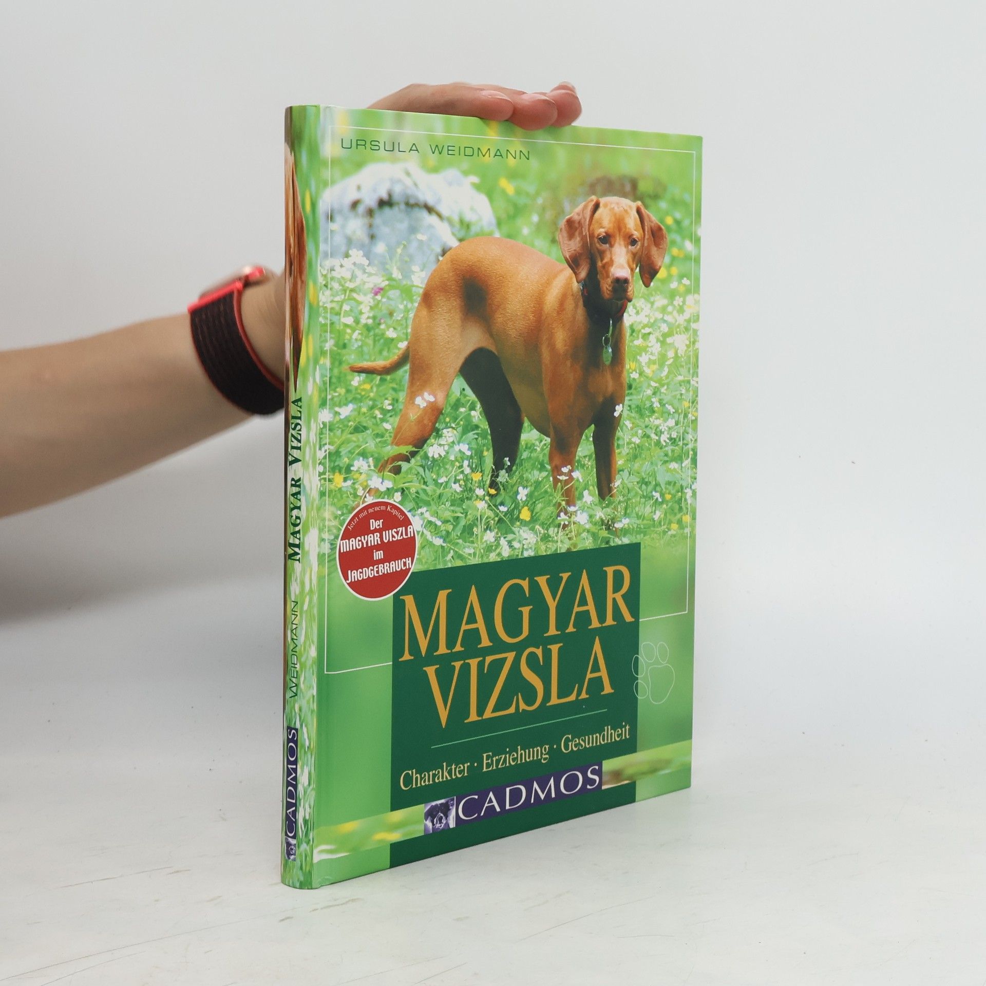 Ursula Weidmann Magyar Vizsla