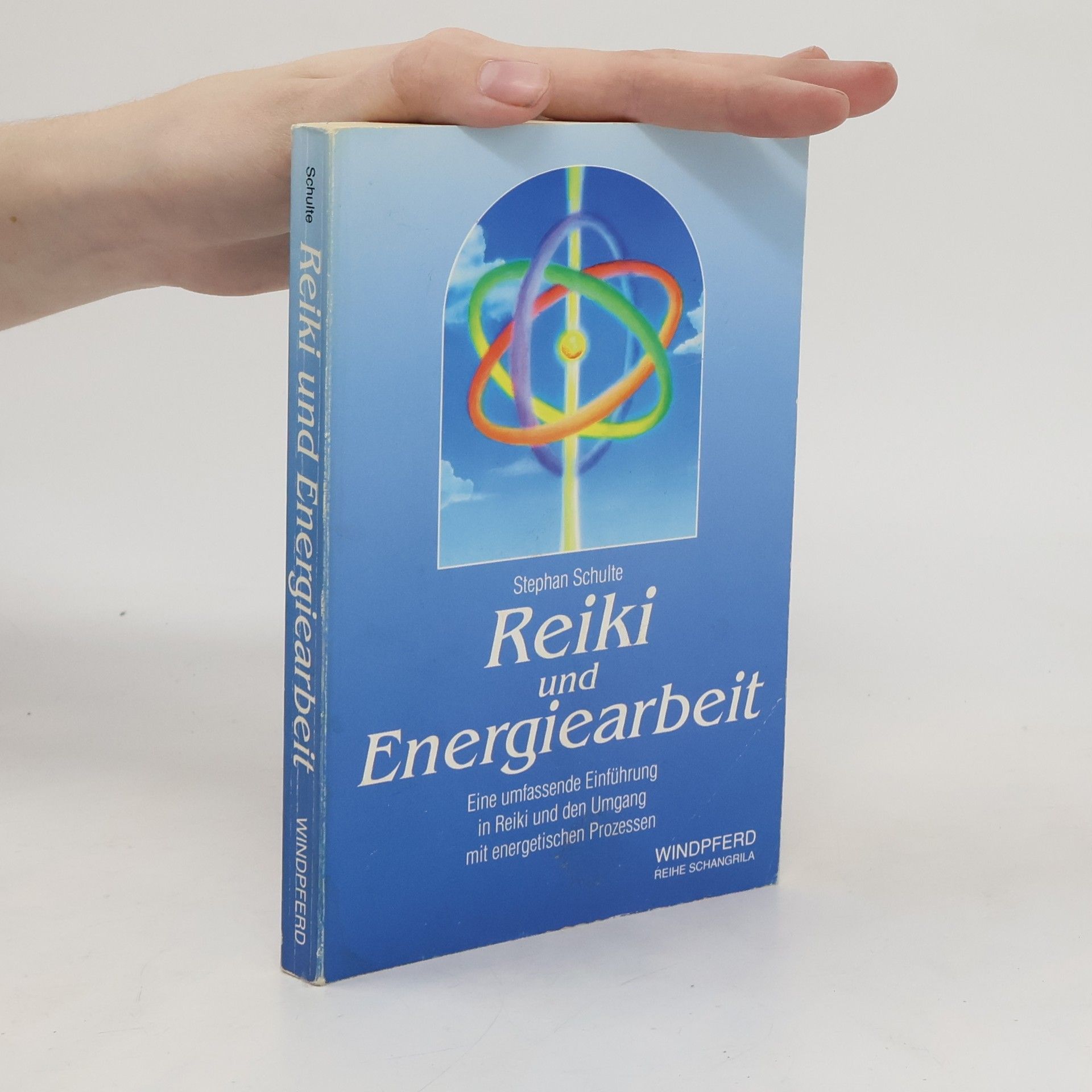 Stefan Schulte-Kellinghaus Reiki und Energiearbeit. Eine umfassende Einführung in Reiki und den Umgang mit energetischen Prozessen