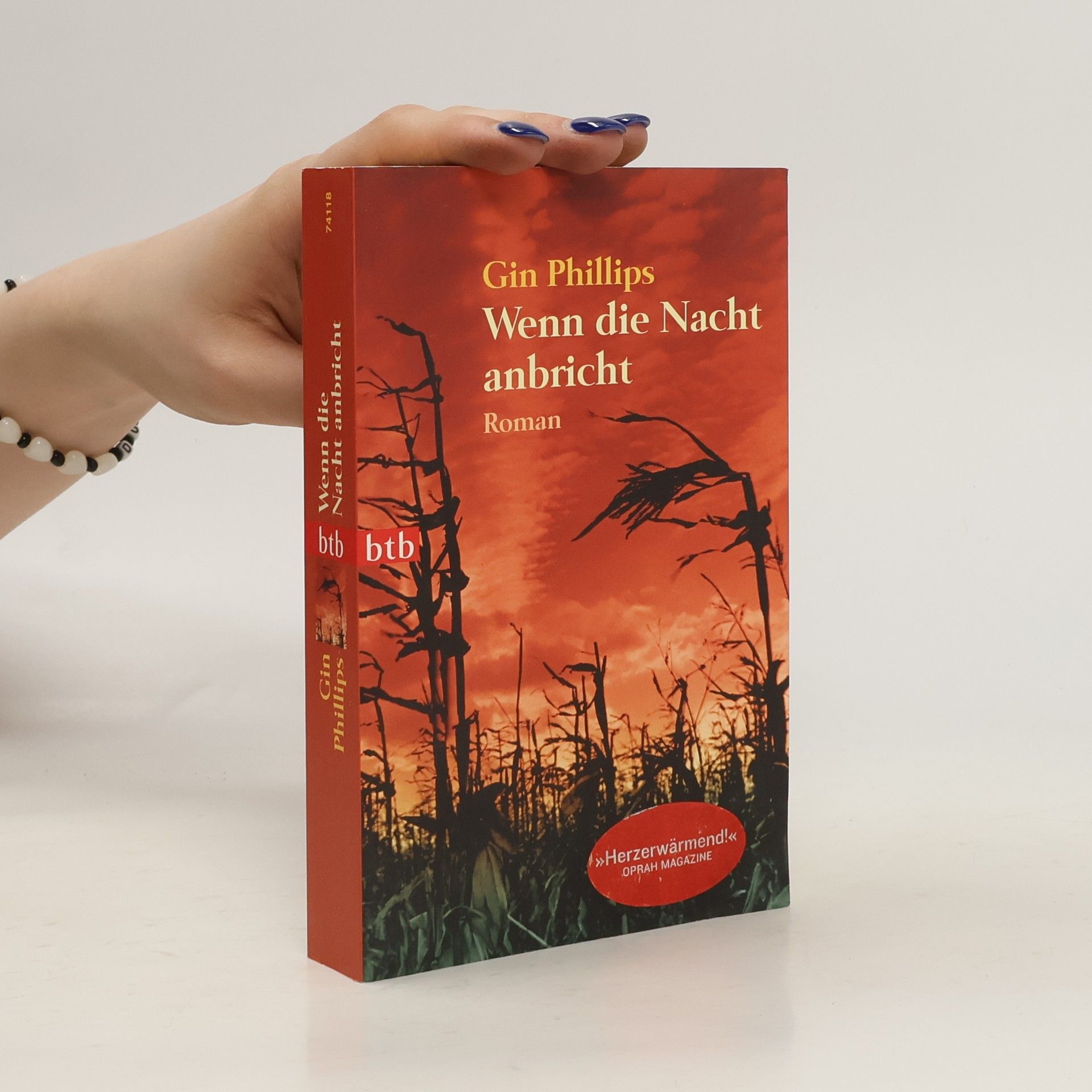 Gin Phillips Wenn die Nacht anbricht