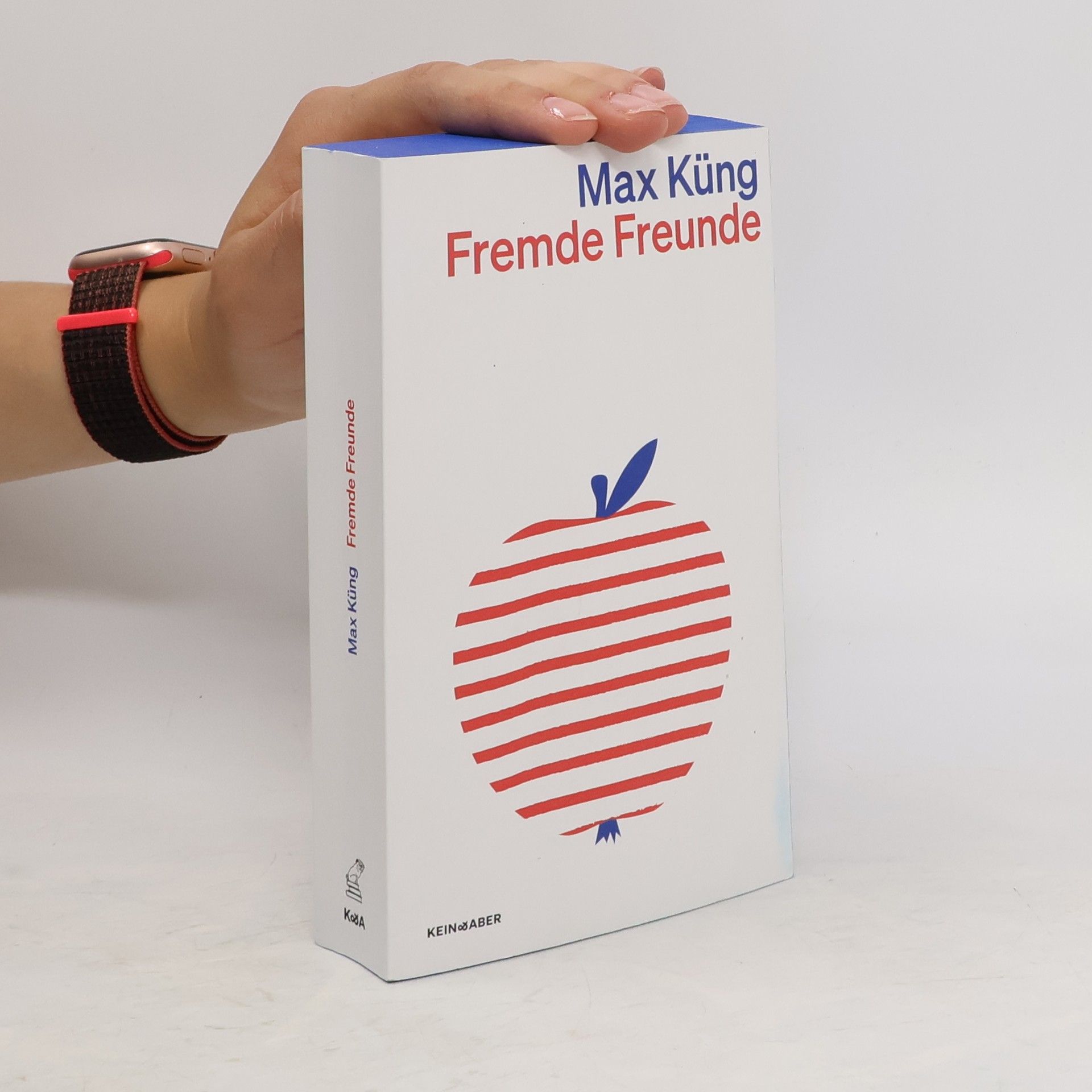 Max Küng Fremde Freunde