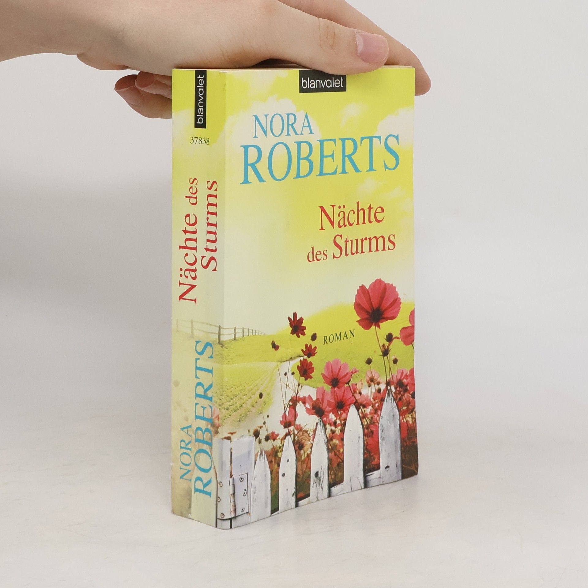 Nora Roberts Nächte des Sturms