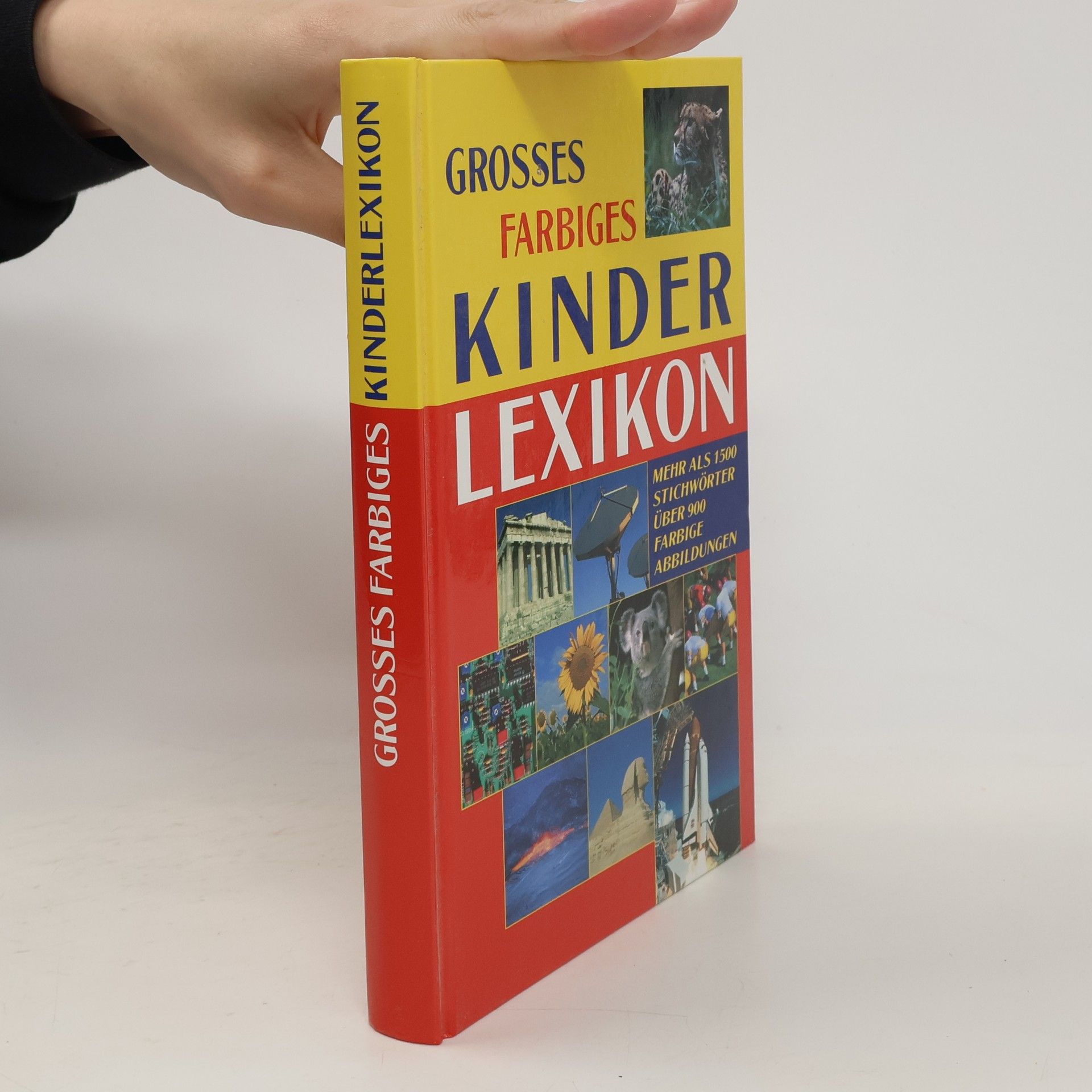 Kolektív autorov Grosses Farbiges Tier Lexikon für Kinder