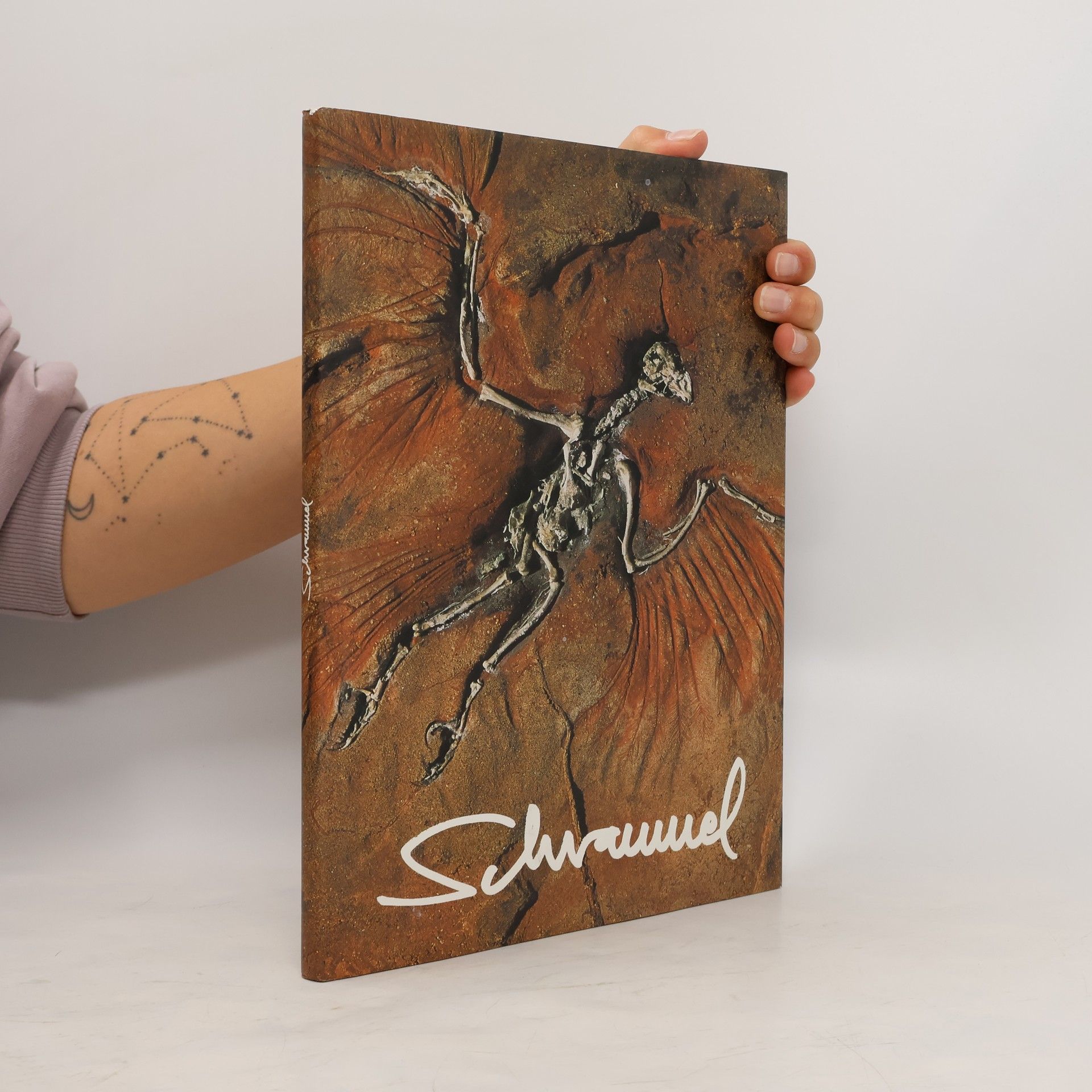 István Füzi Schrammel