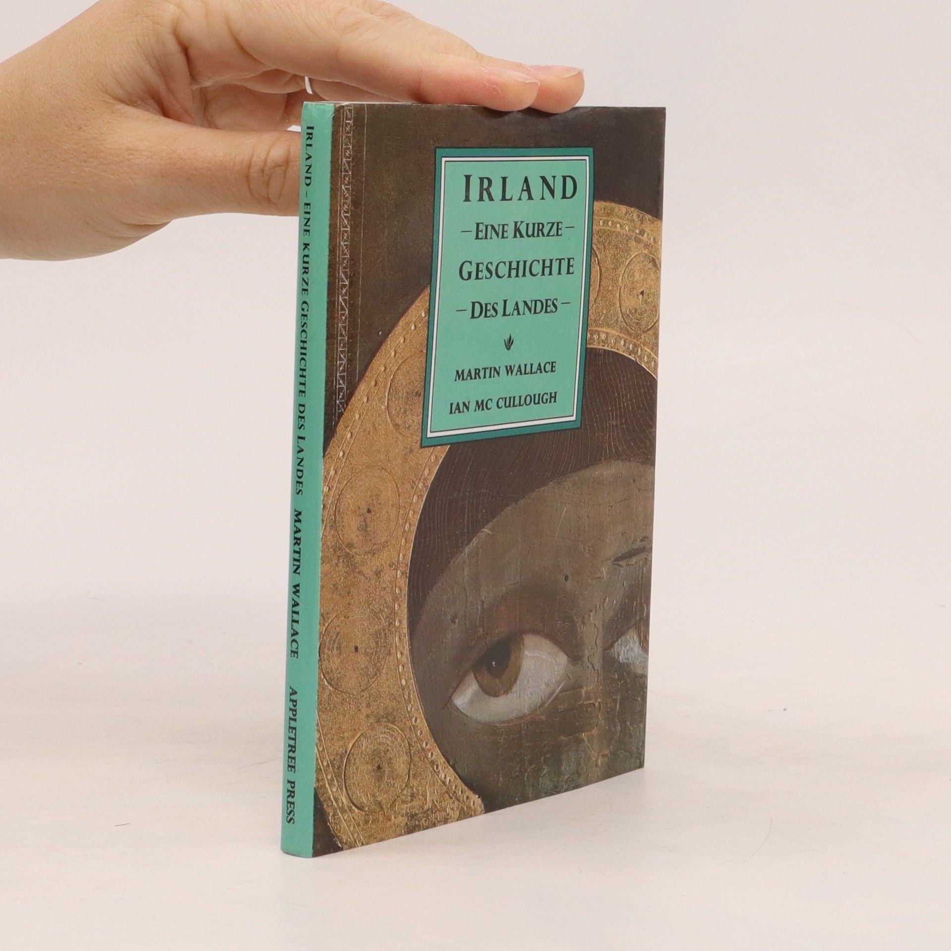 Martin Wallace Irland eine Kurze Geschichte des Landes