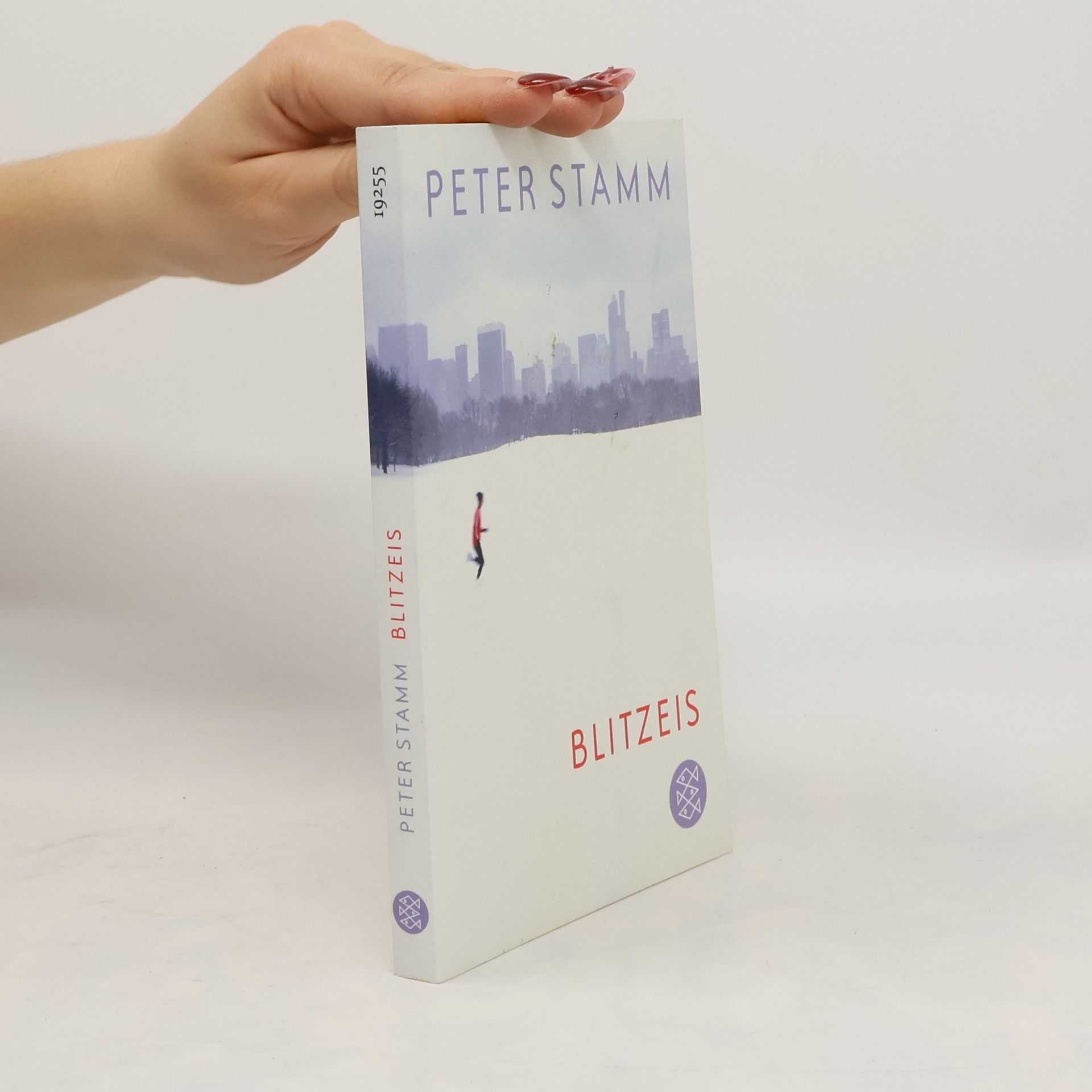 Peter Stamm Blitzeis