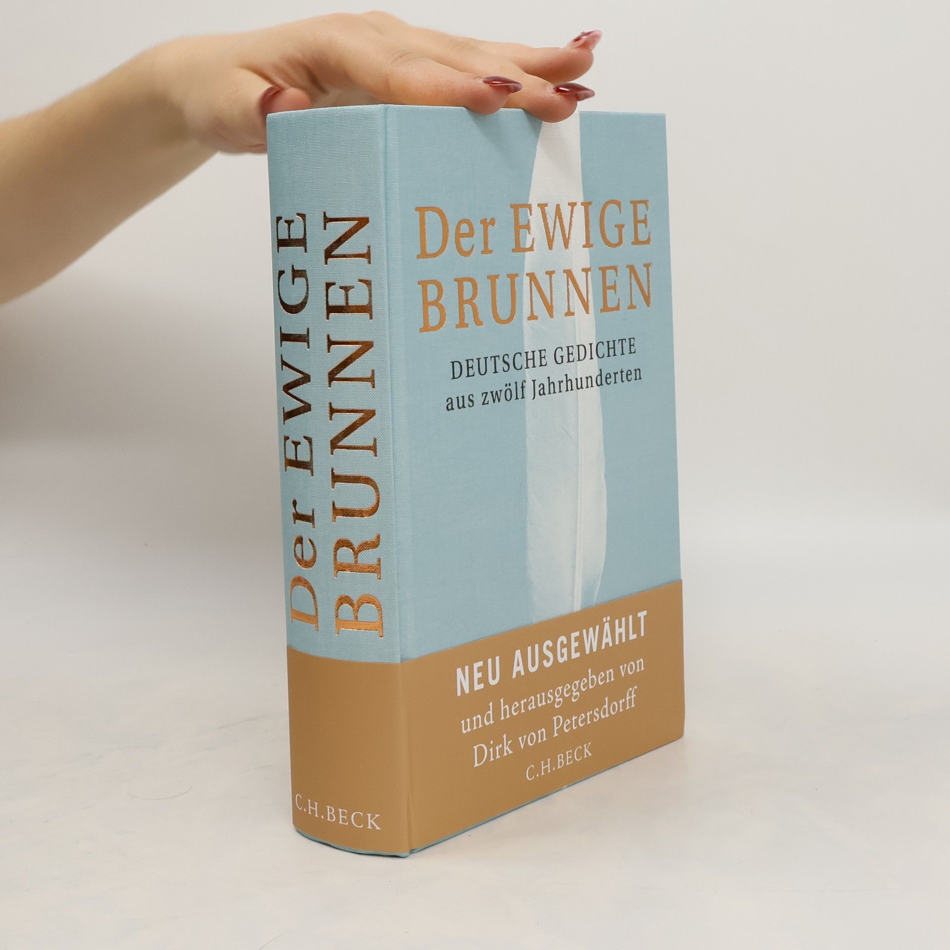Dirk von Petersdorff Der ewige Brunnen