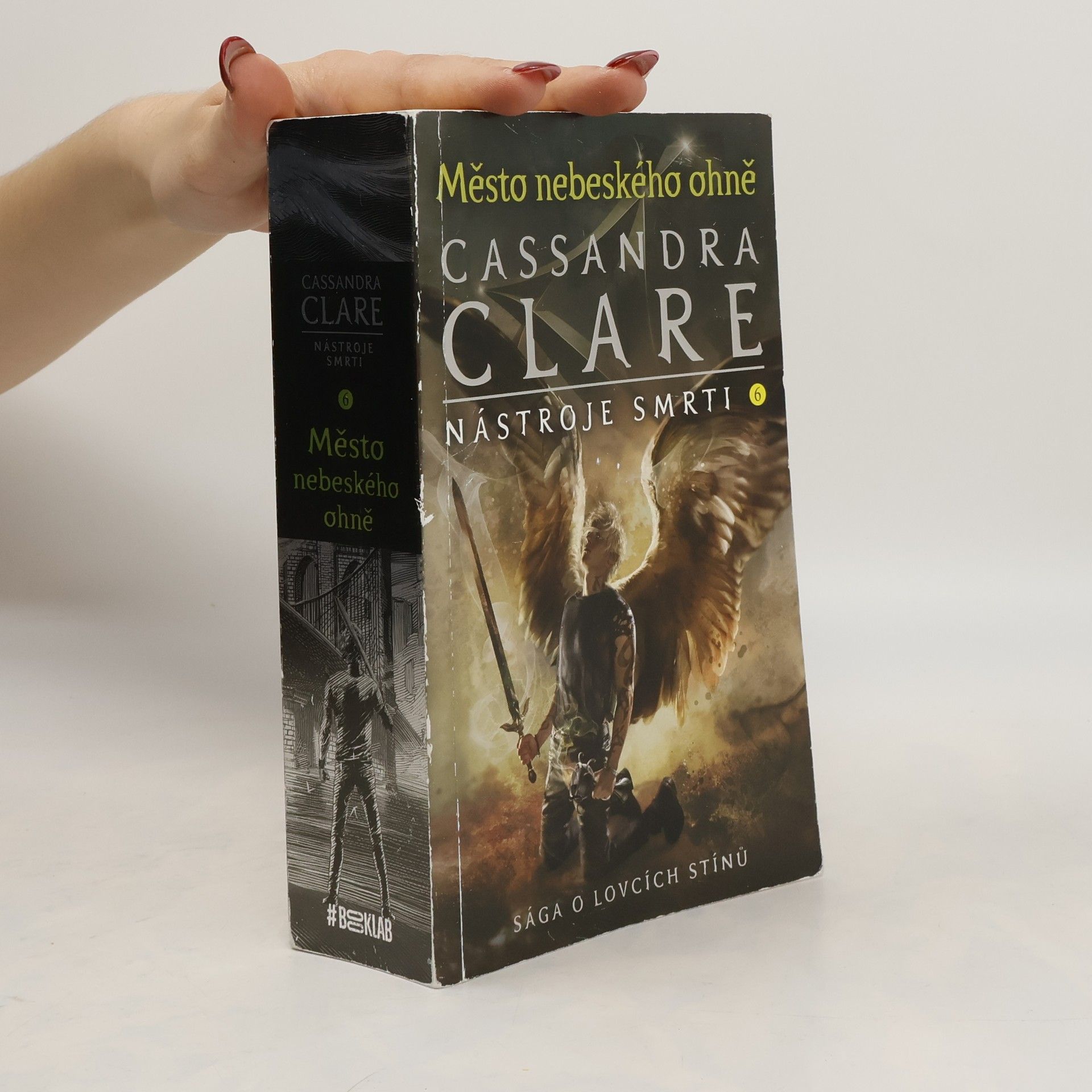 Cassandra Clare Město nebeského ohně
