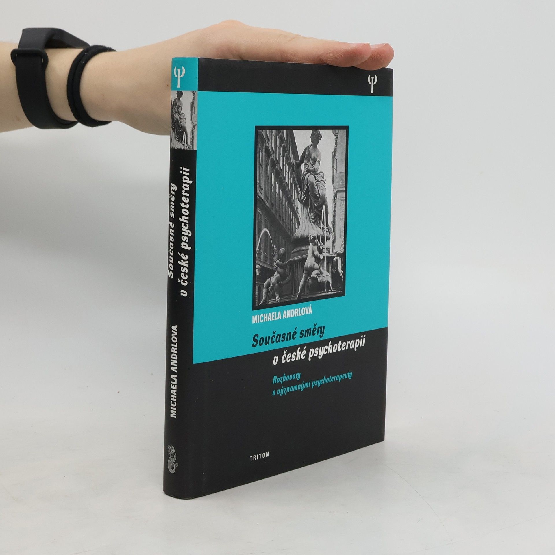 Současné směry v české psychoterapii