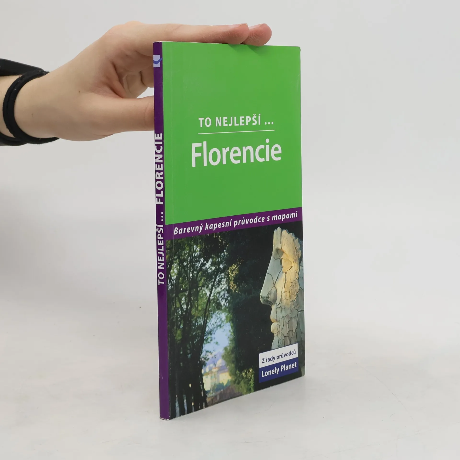 Florencie | Kniha | Damien Simonis | CS