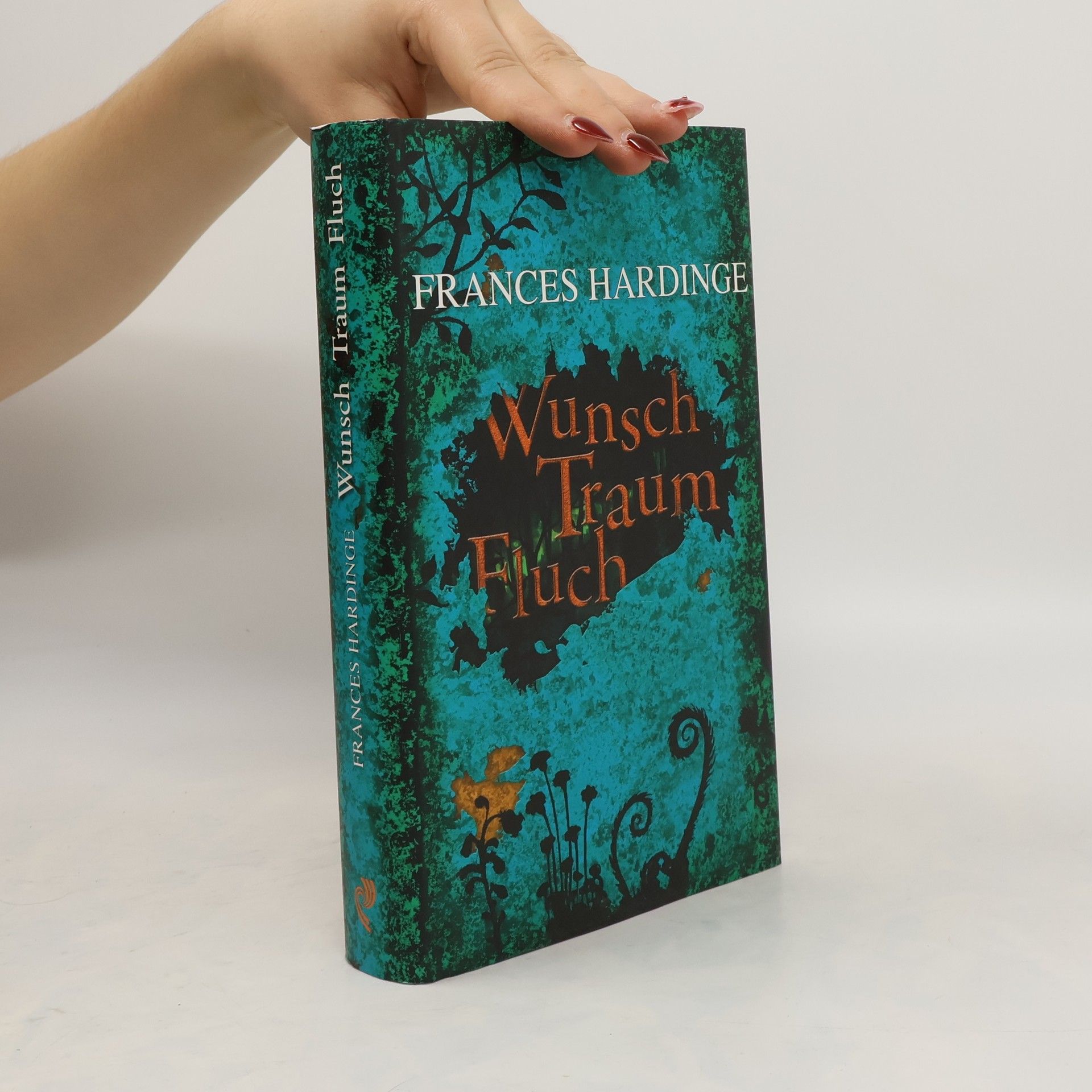 Frances Hardinge Wunsch Traum Fluch