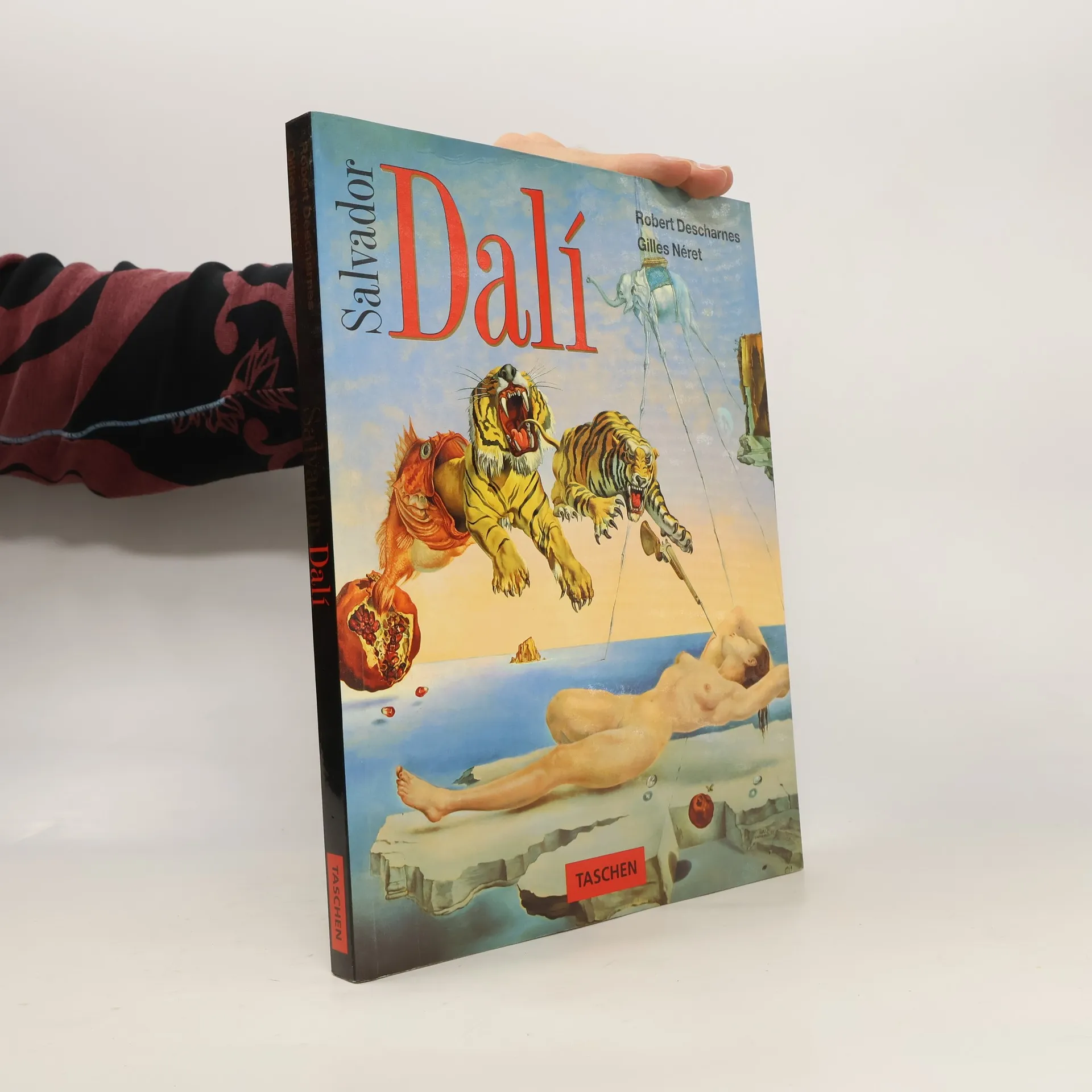 Salvador Dalí : 1904-1989 | Kniha | mäkká | Robert Descharnes | DE