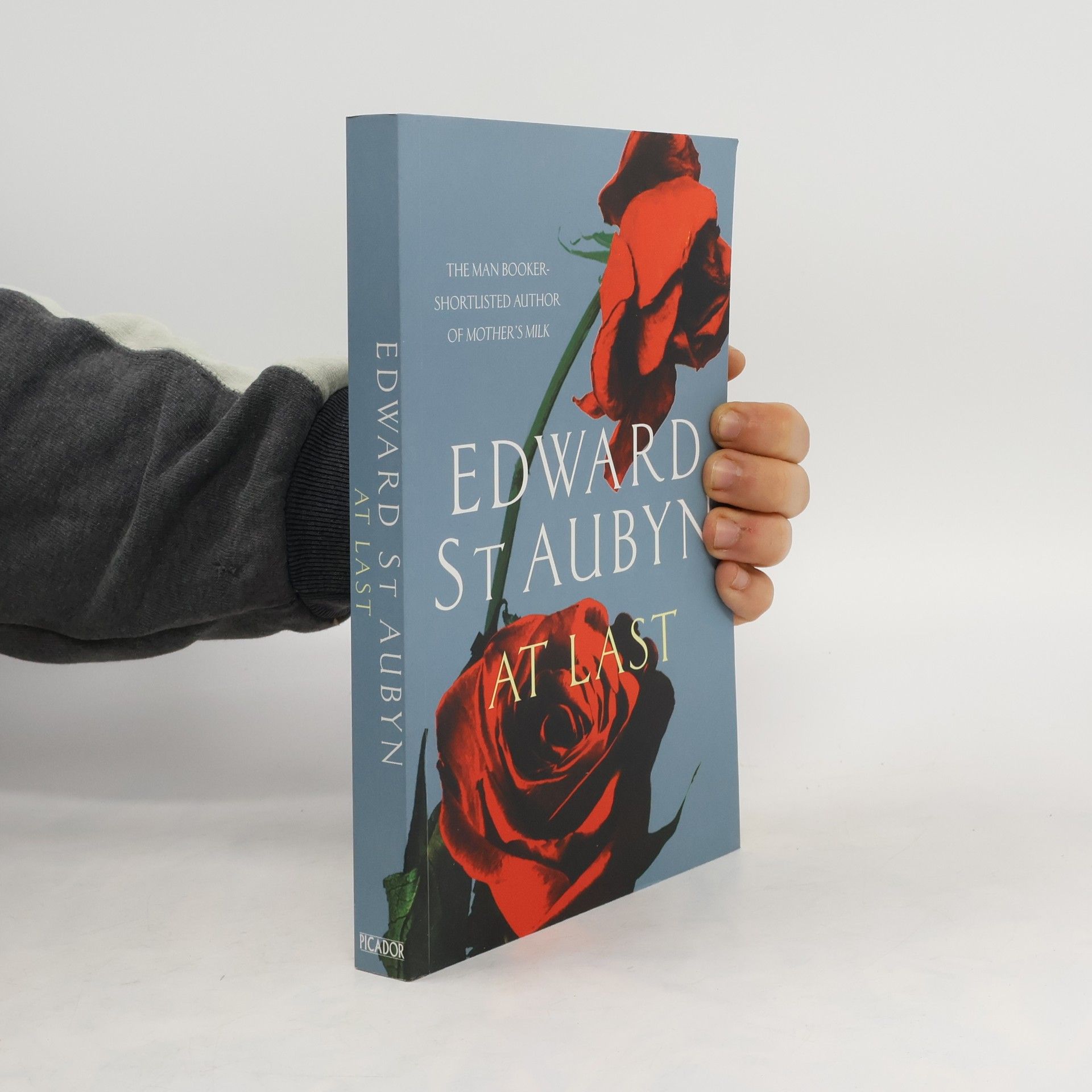 Edward St Aubyn At Last