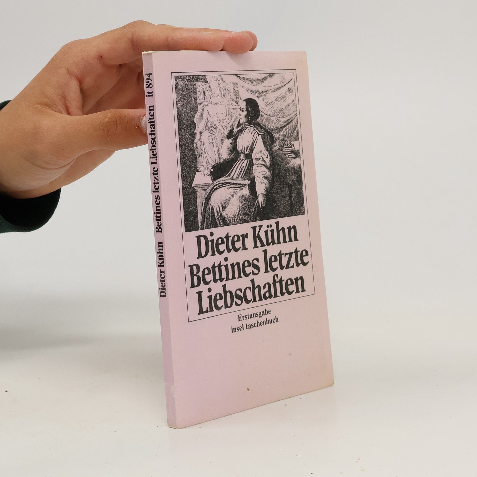 Dieter Kuhn Bettines letzte Liebschaften