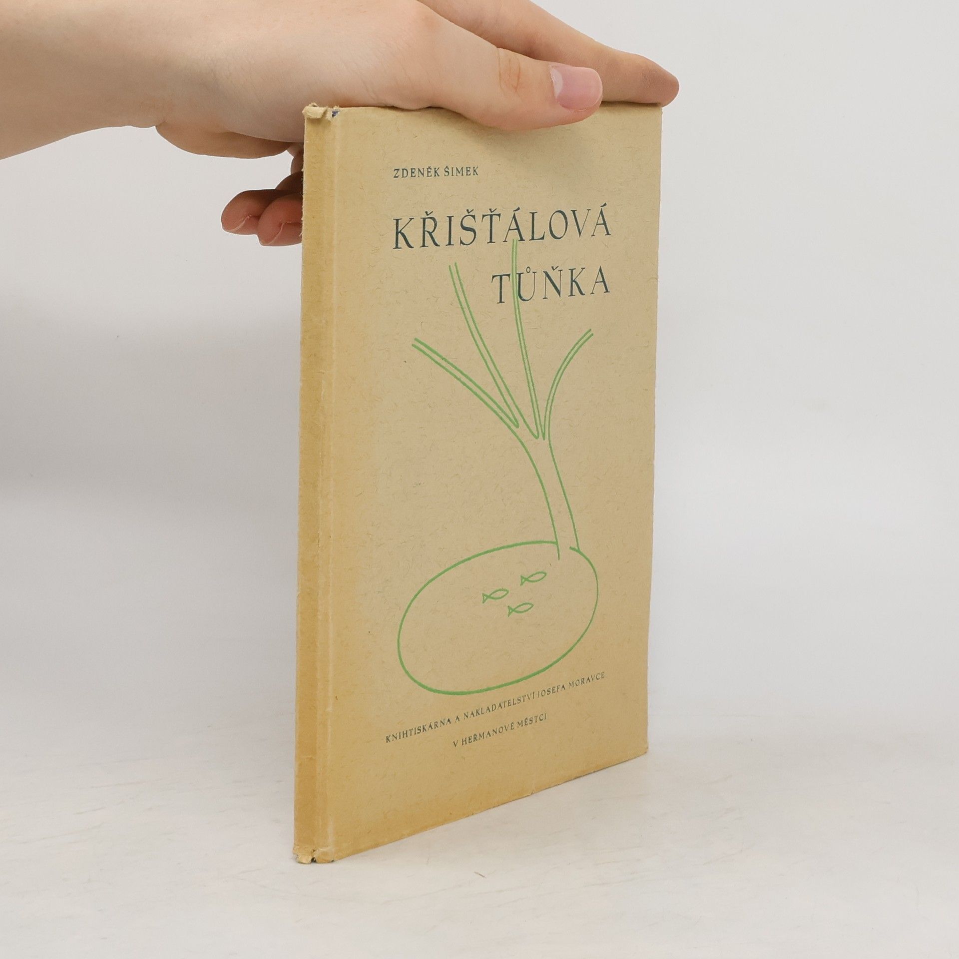 Zdeněk Šimek Křišťálová tůňka