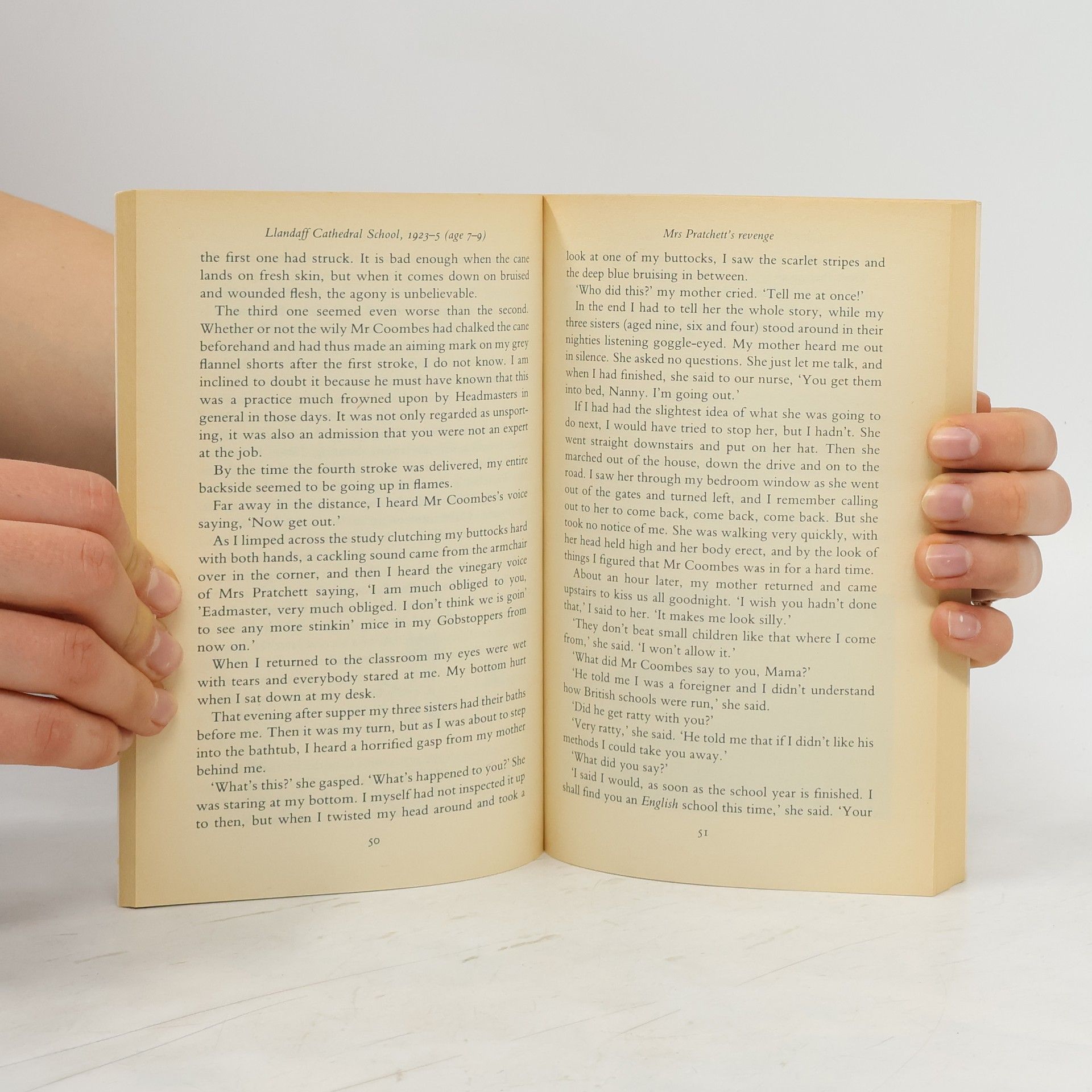 Roald Dahl Boy : tales of childhood