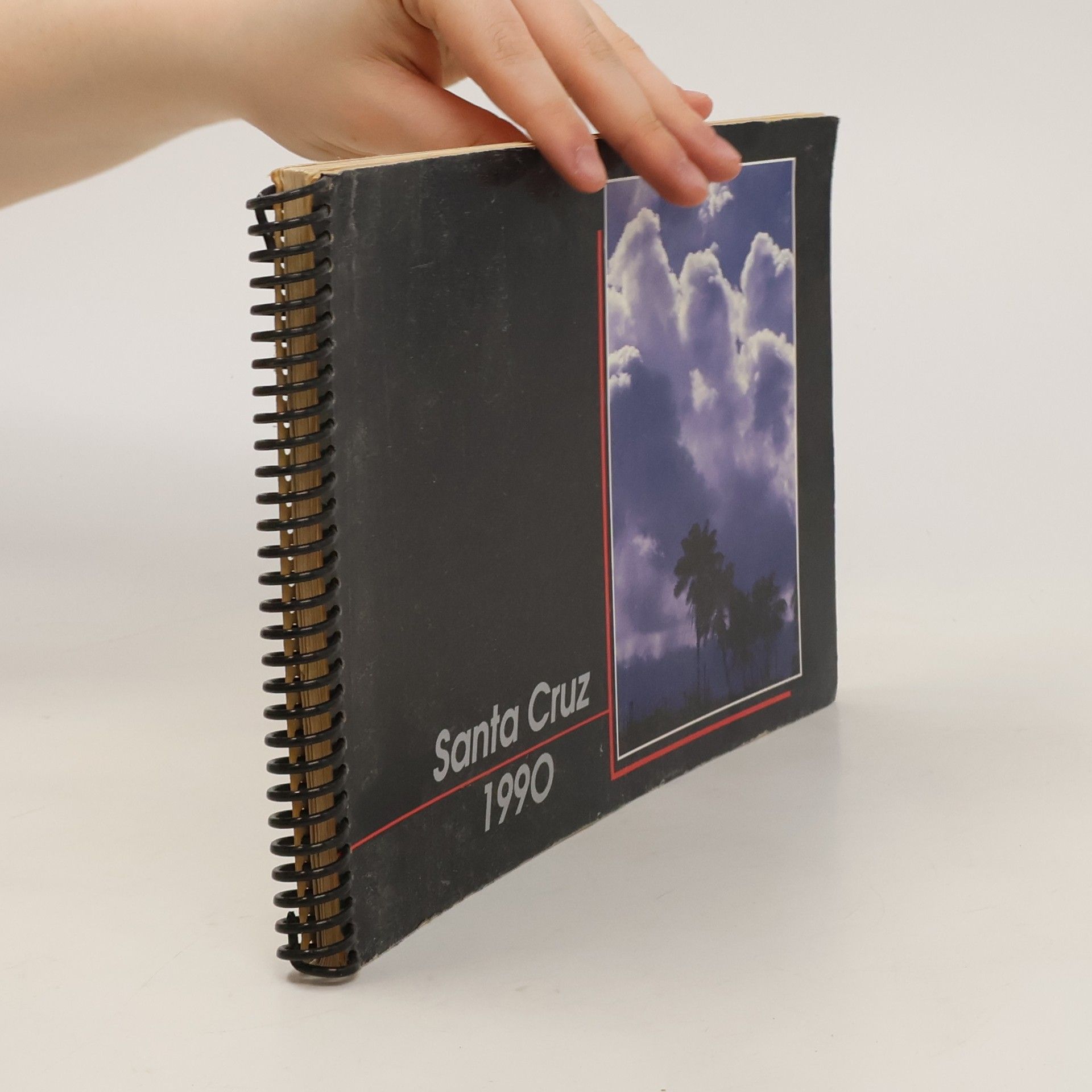 Willy Kenning Santa Cruz 1990