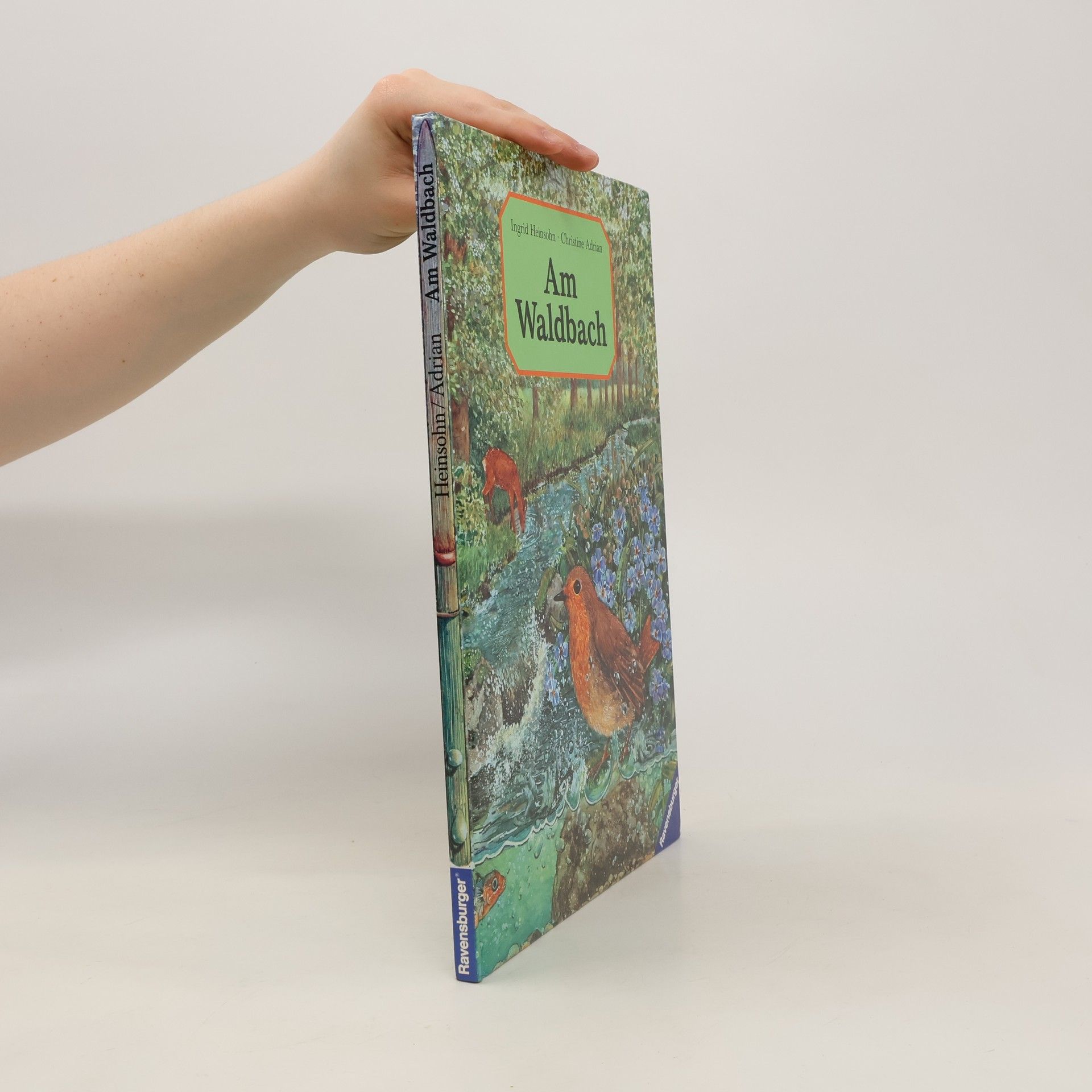 Ingrid Heinsohn Am Waldbach