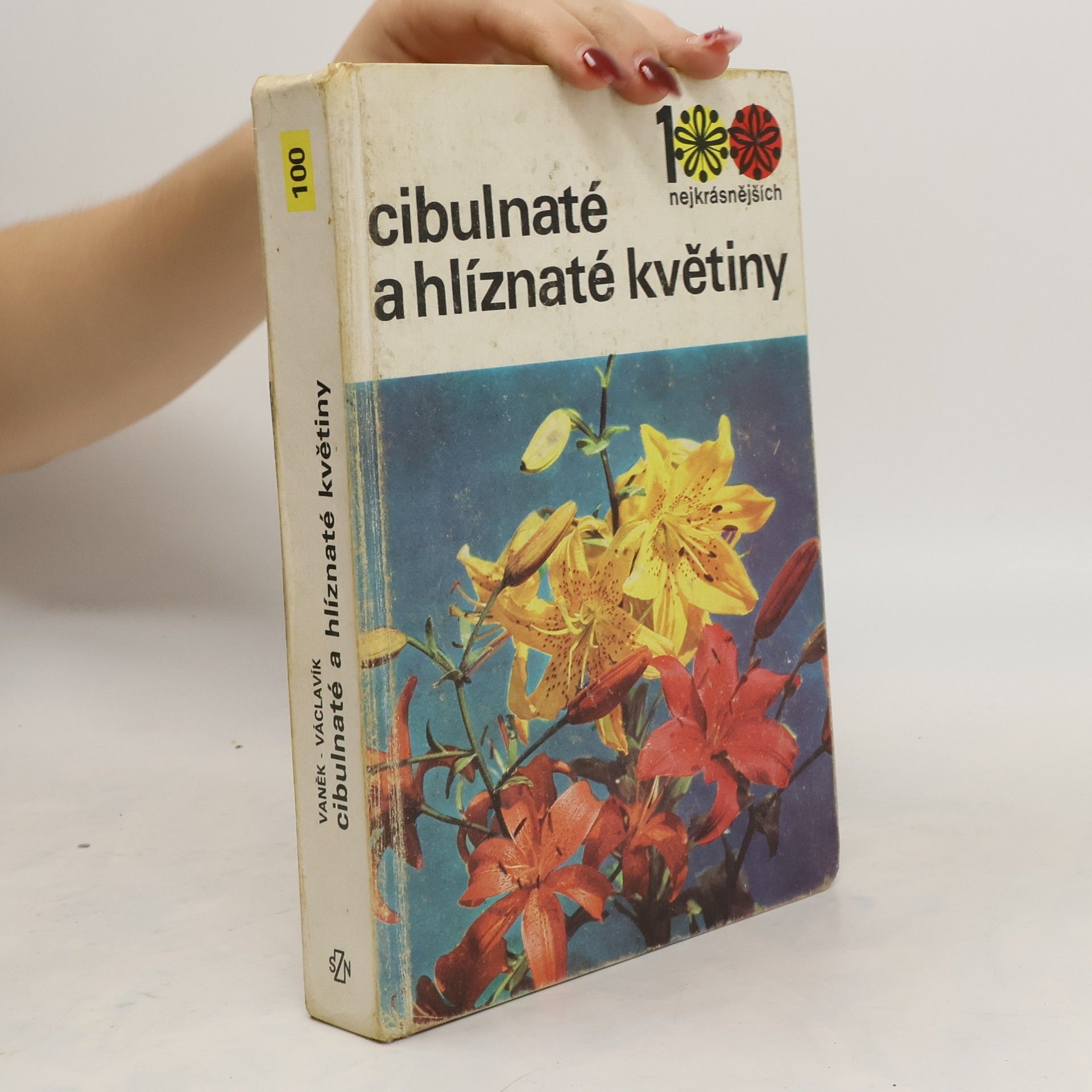 Jiří Václavík Cibulnaté a hlíznaté květiny