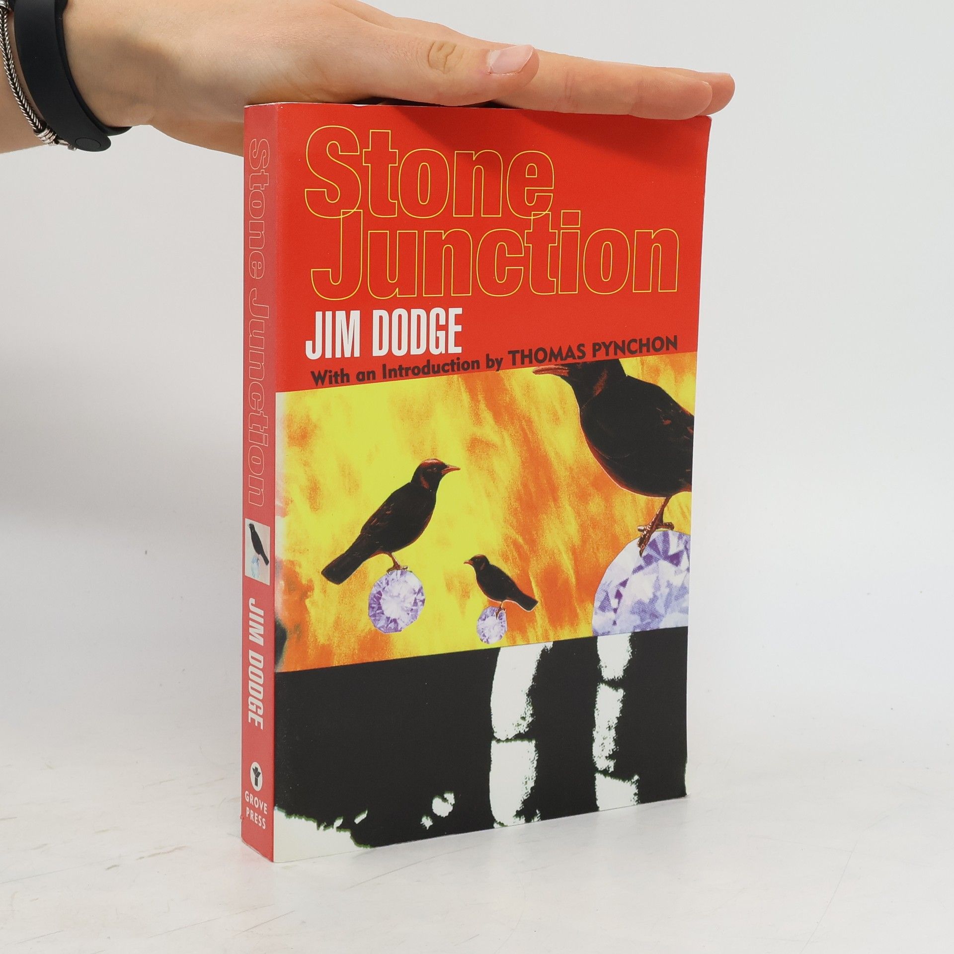 Jim Dodge Stone Junction