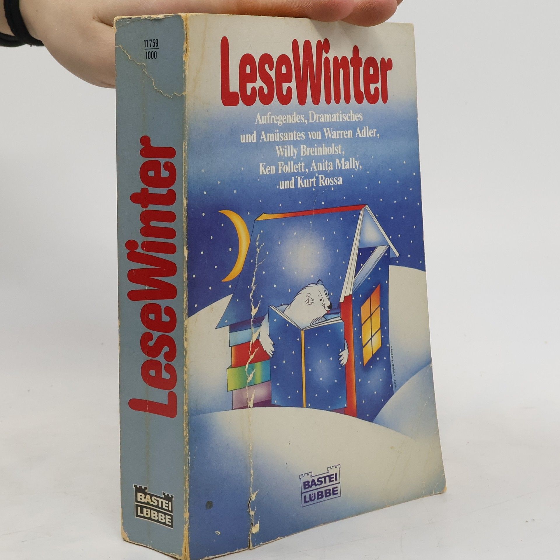 AA.VV. Lesewinter. Fünf Bestseller in einem Bd.