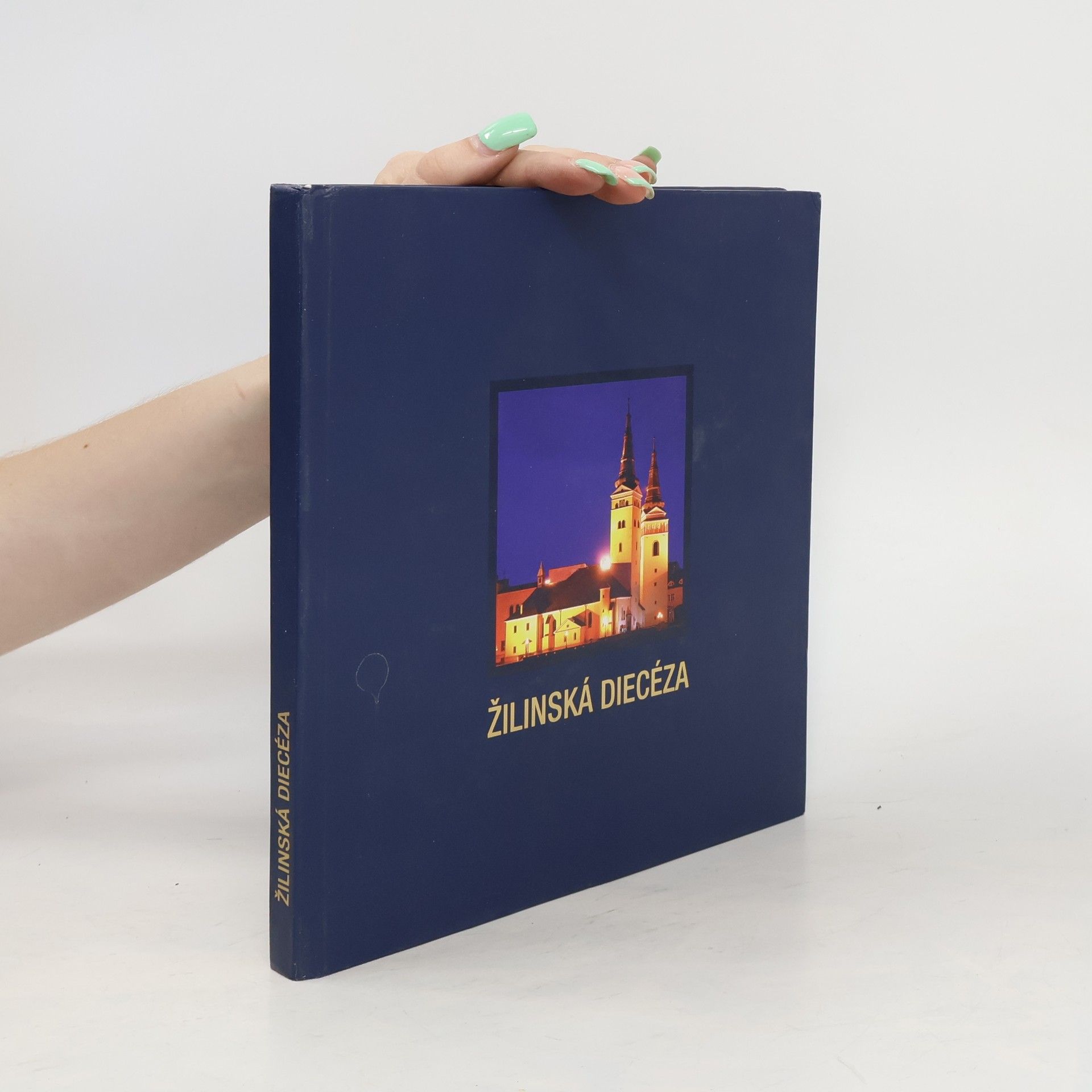 Peter Holbička Žilinská diecéza