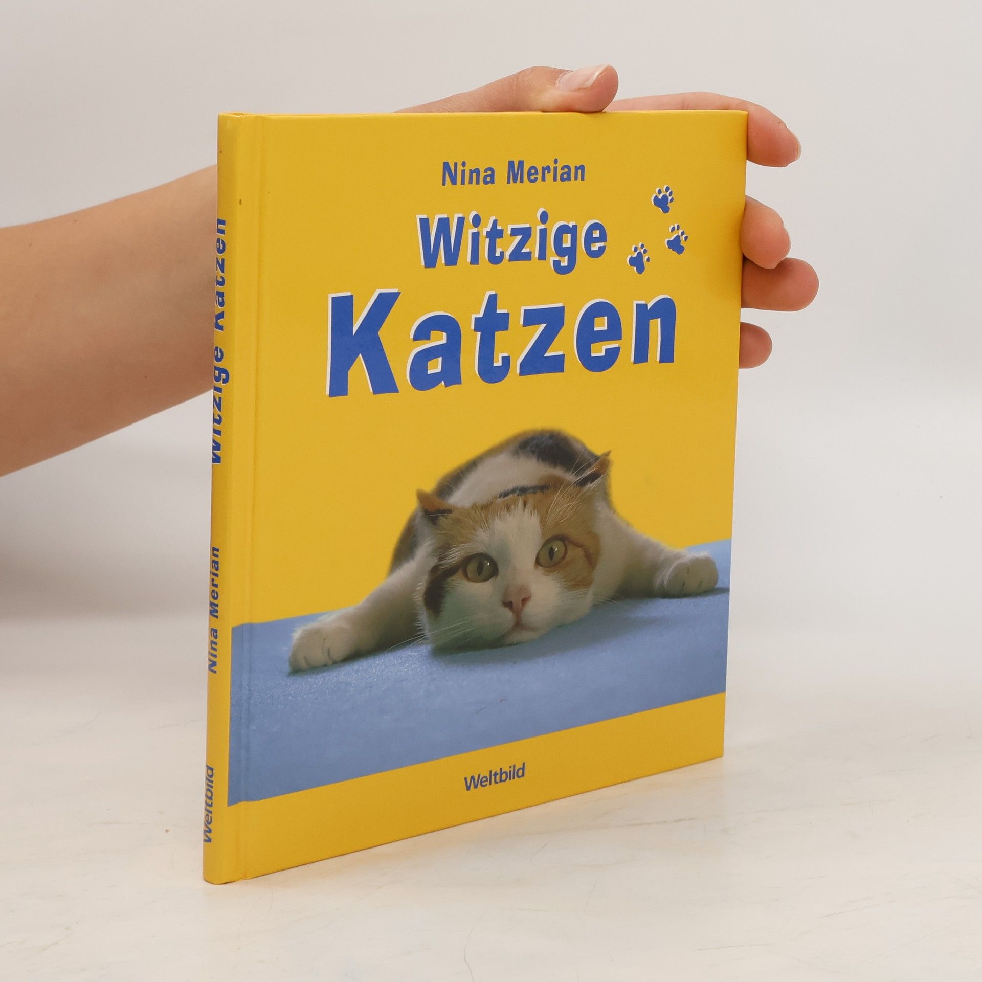 Nina Merian Witzige Katzen