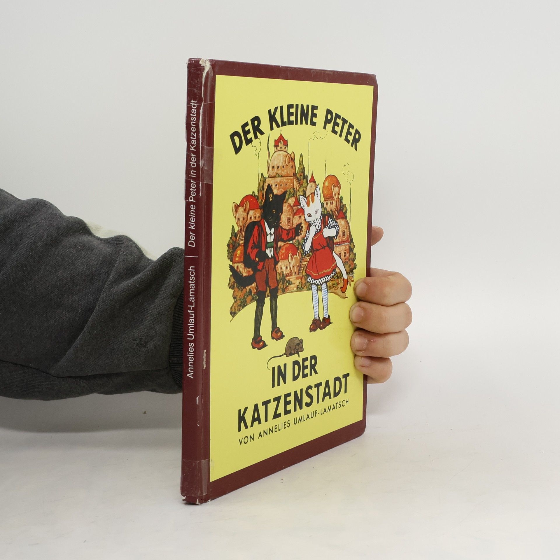 Collectif d'auteurs Der kleine Peter in der Katzenstadt